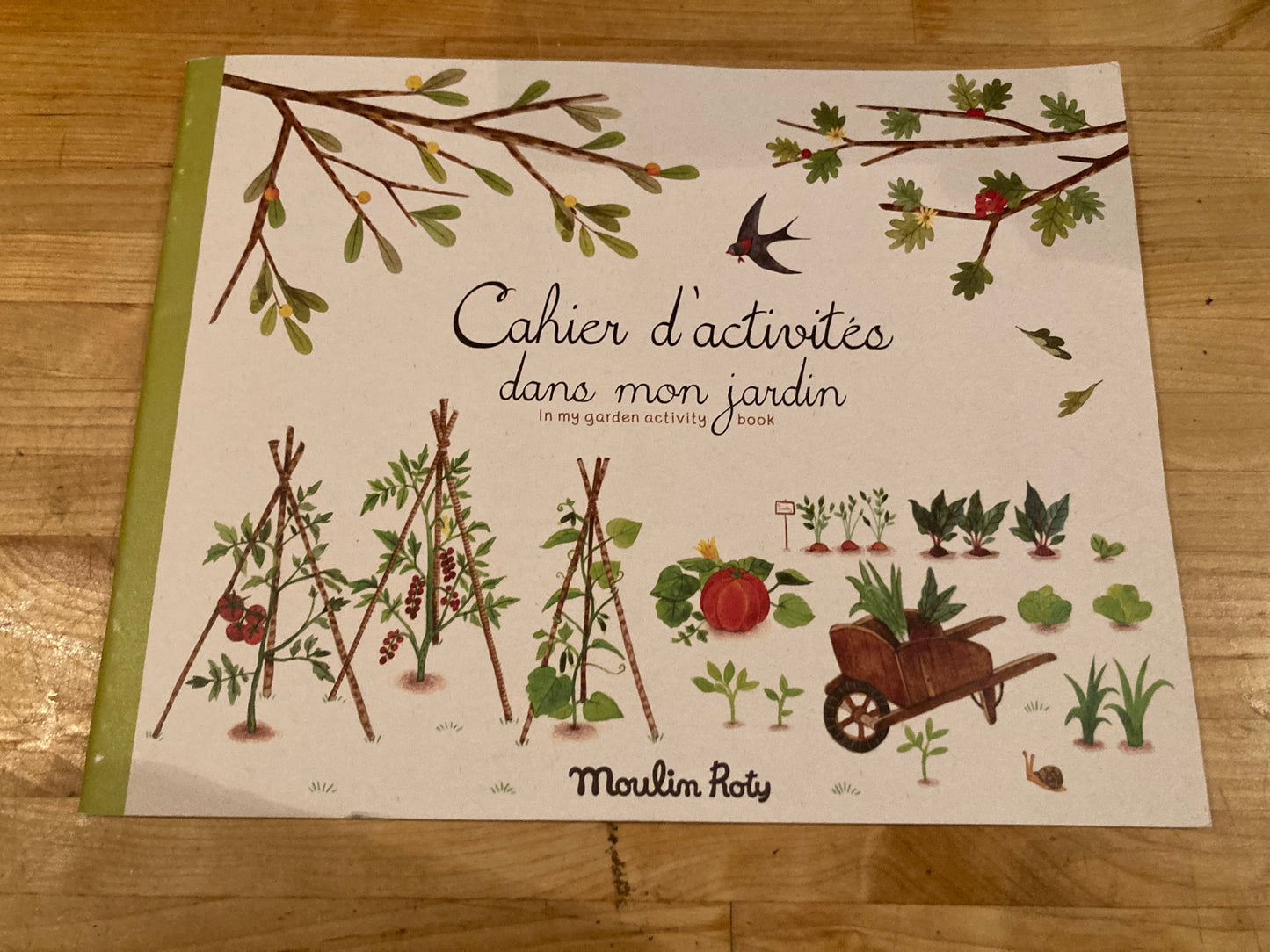 Art Activity Set - GARDENING BOOK, Colouring & more!