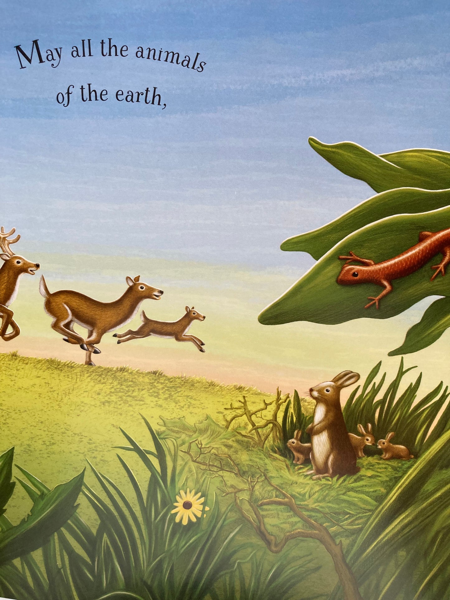 Children’s Picture Book - A PRAYER FOR THE ANIMALS