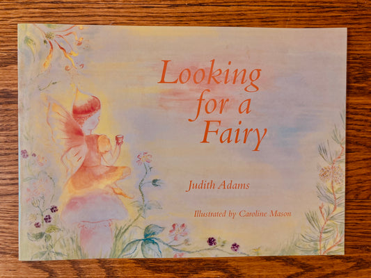 Livre d'images pour enfants - À LA RECHERCHE D'UNE FÉE