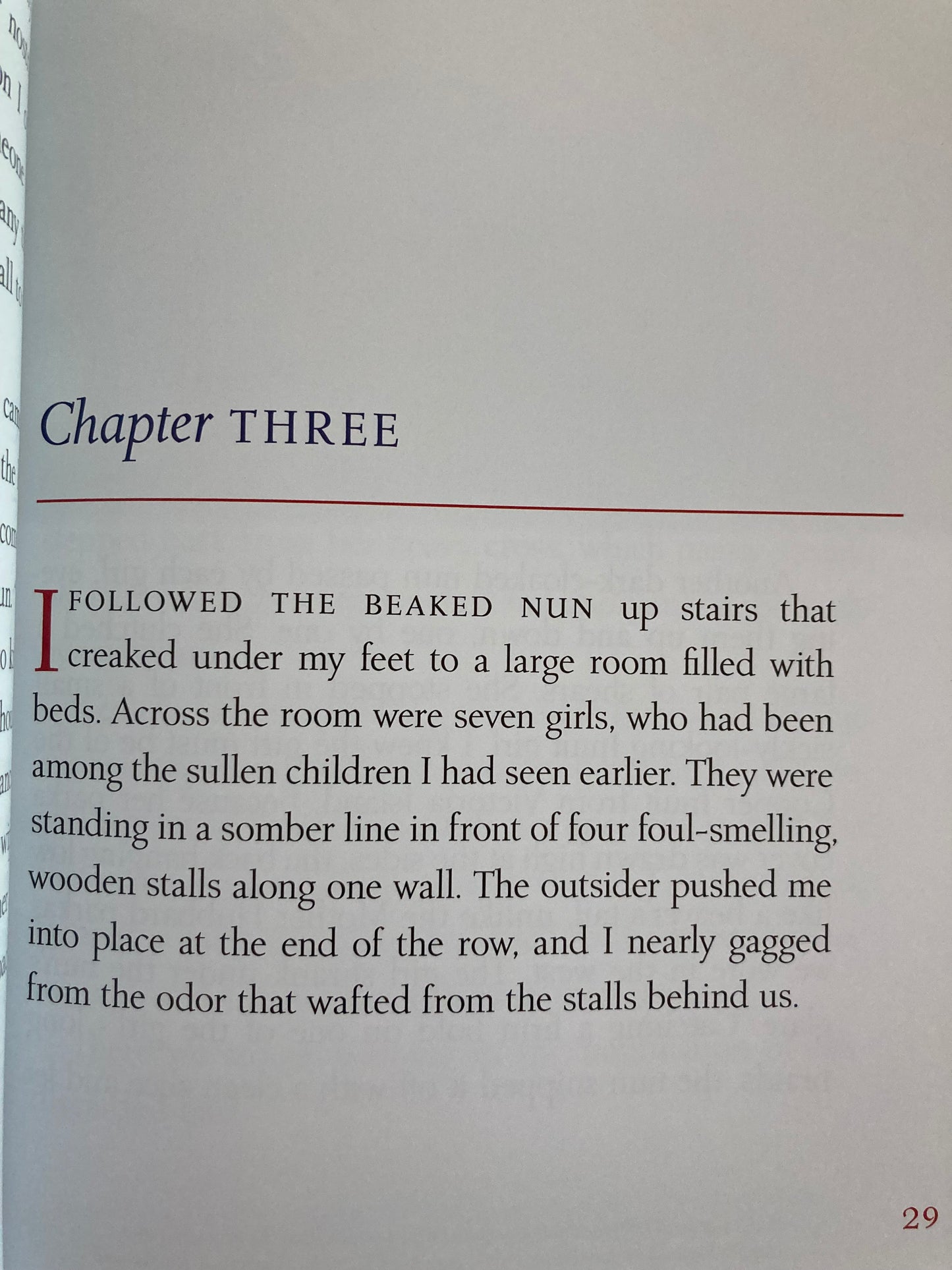 Chapter Books for Older Readers - FATTY LEGS