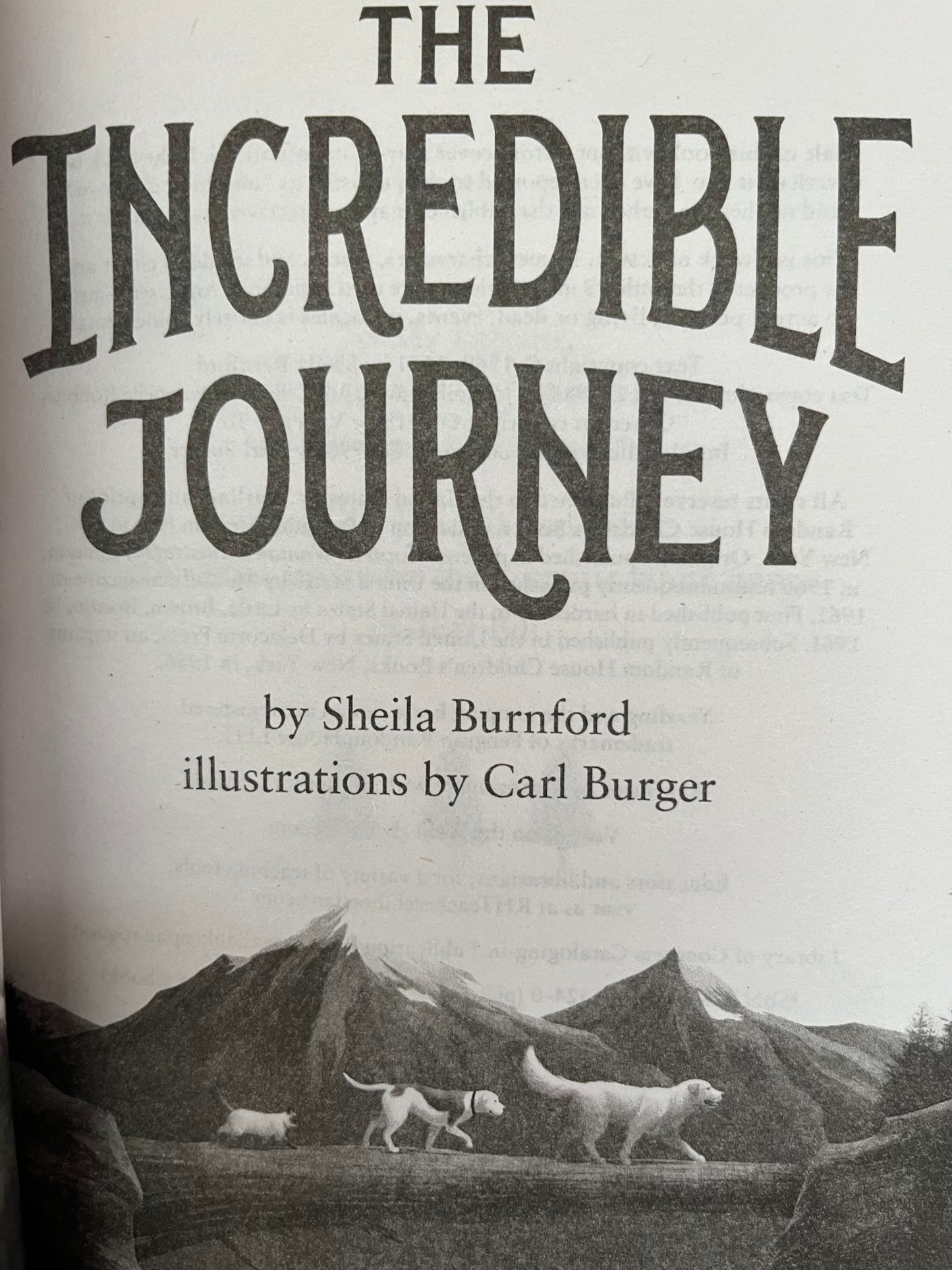 Chapter Books for Older Readers - THE INCREDIBLE JOURNEY