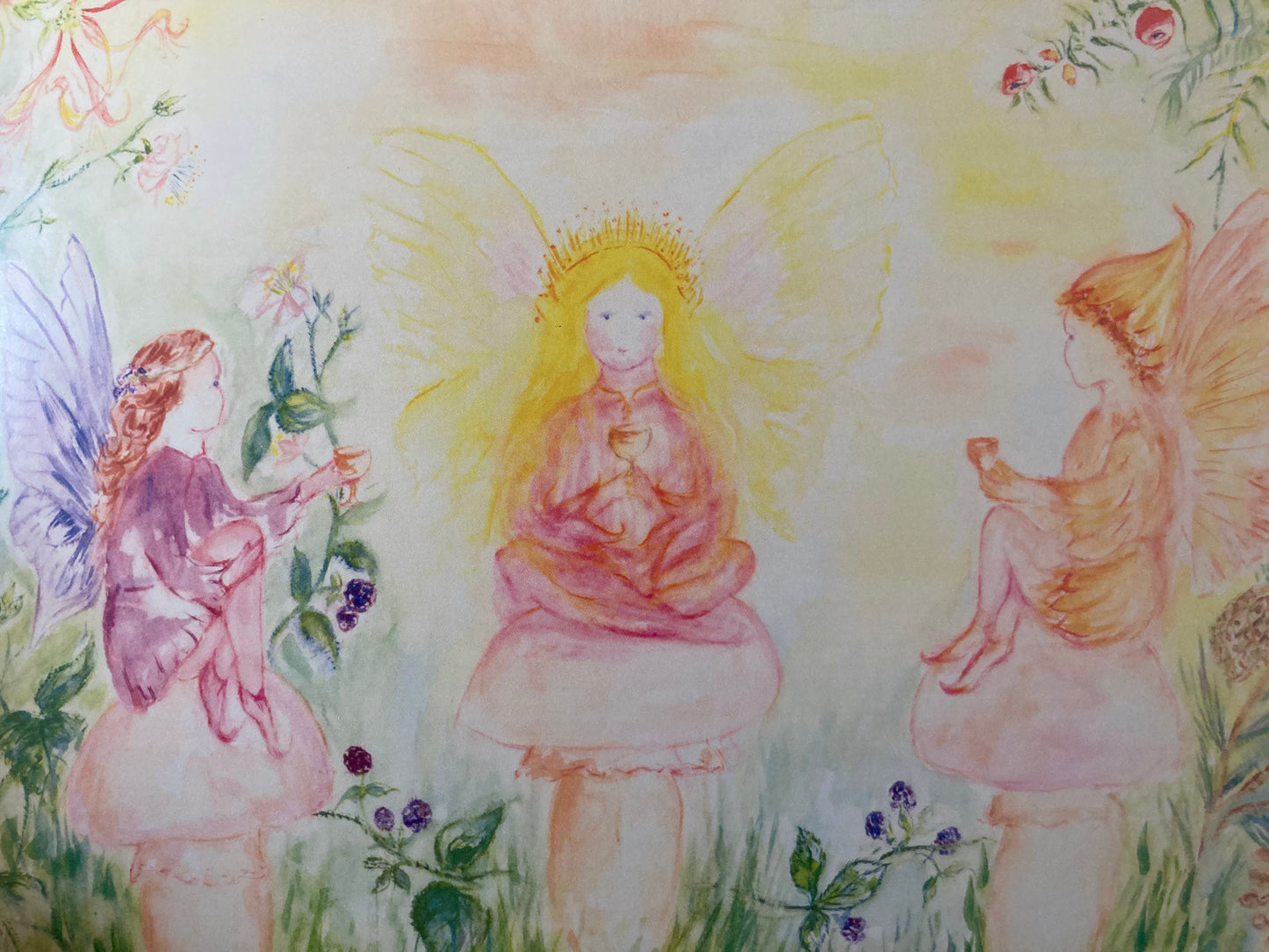 Livre d'images pour enfants - À LA RECHERCHE D'UNE FÉE