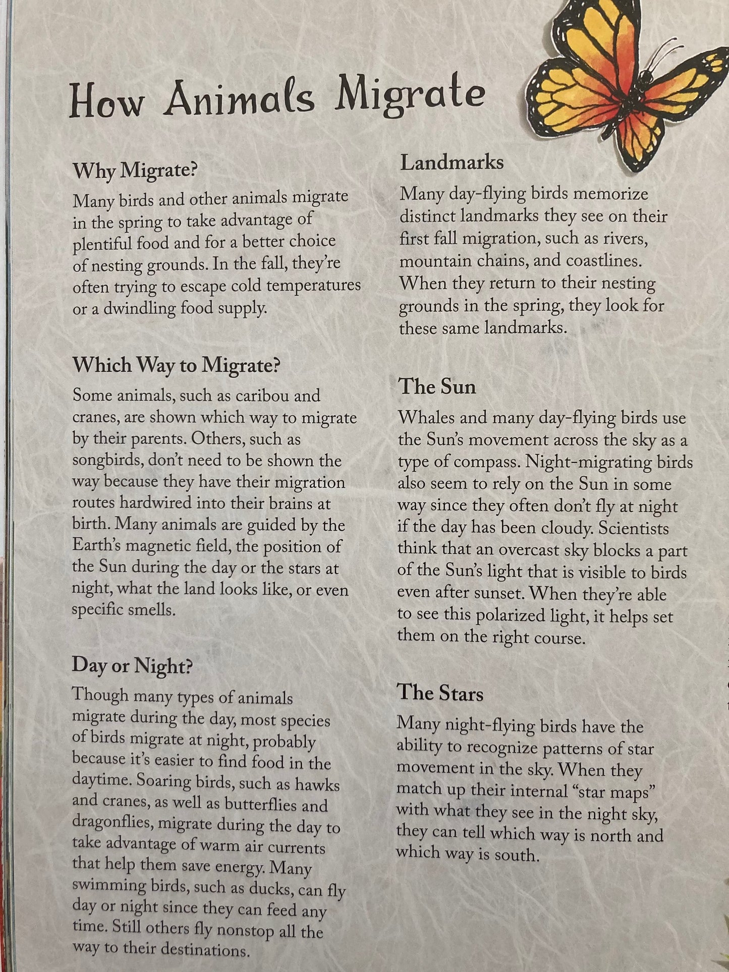Children’s Picture Book - IS THIS PANAMA? (A Migration Story)