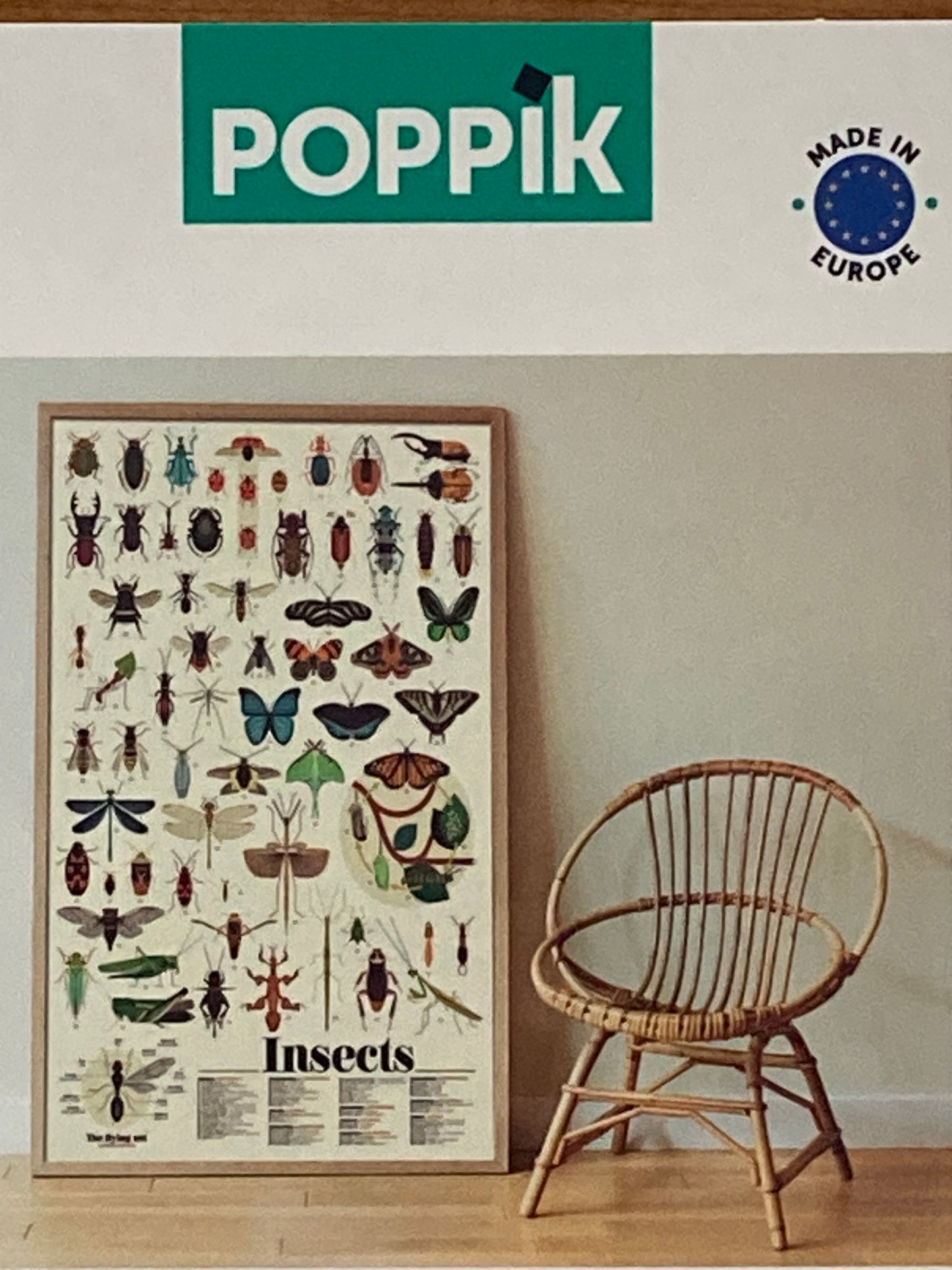 Activity Set - INSECTS POSTER with removable stickers!