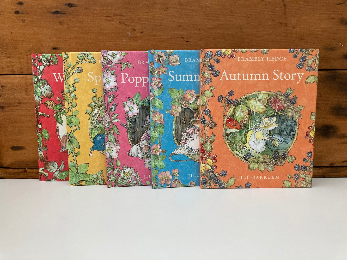 Children's Picture Book - SUMMER STORY of THE MICE OF BRAMBLY HEDGE