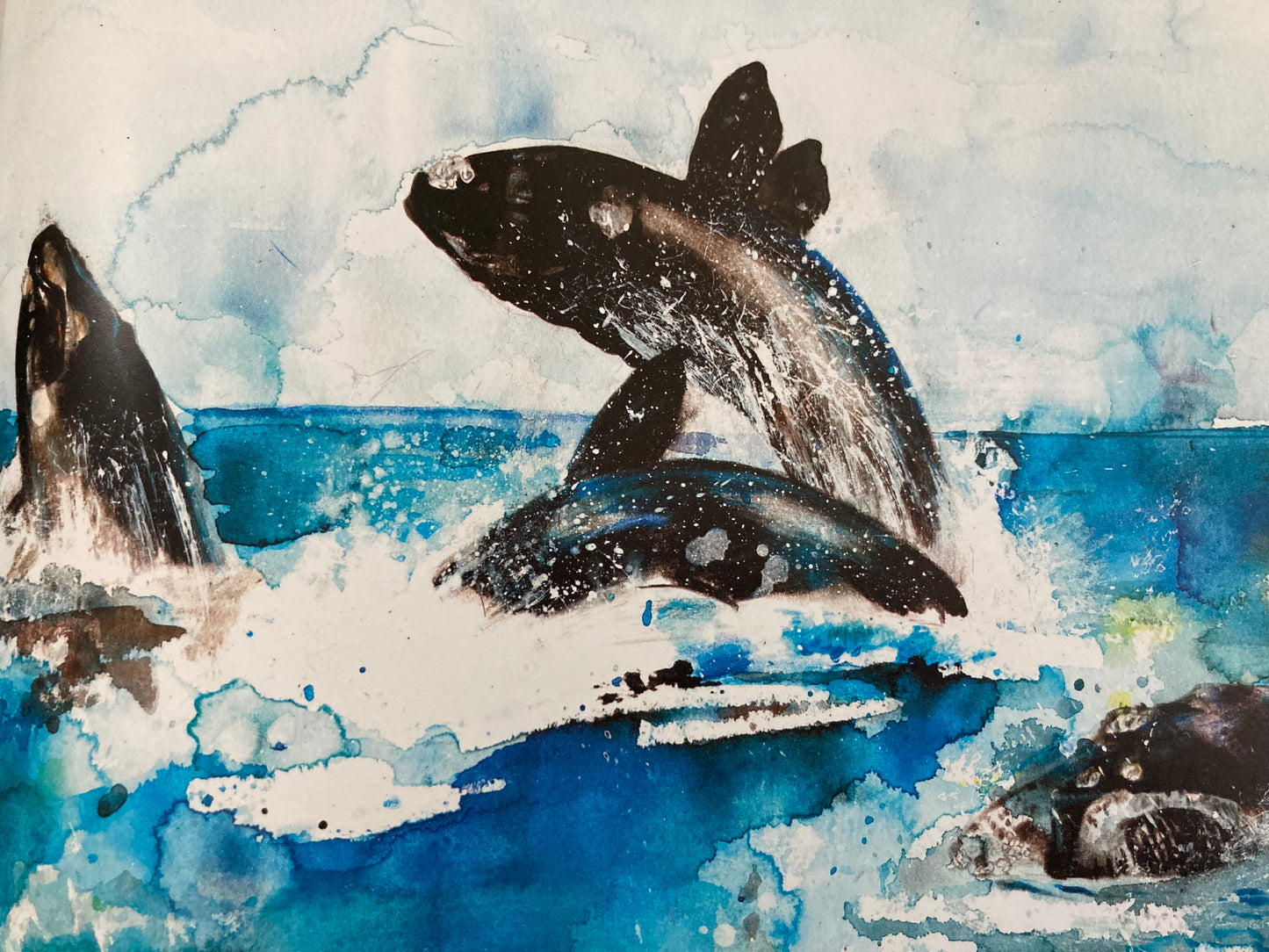 Livre d'images éducatif pour enfants - WENDY LA BALEINE
