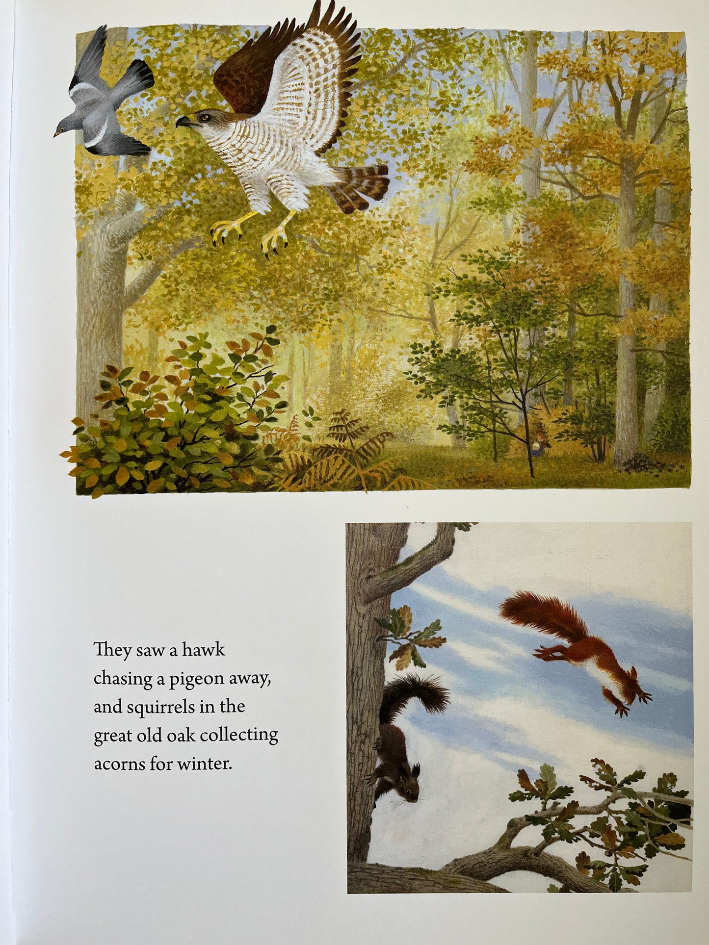 Livre d'images éducatif pour enfants - UNE ANNÉE AUTOUR DU GRAND CHÊNE