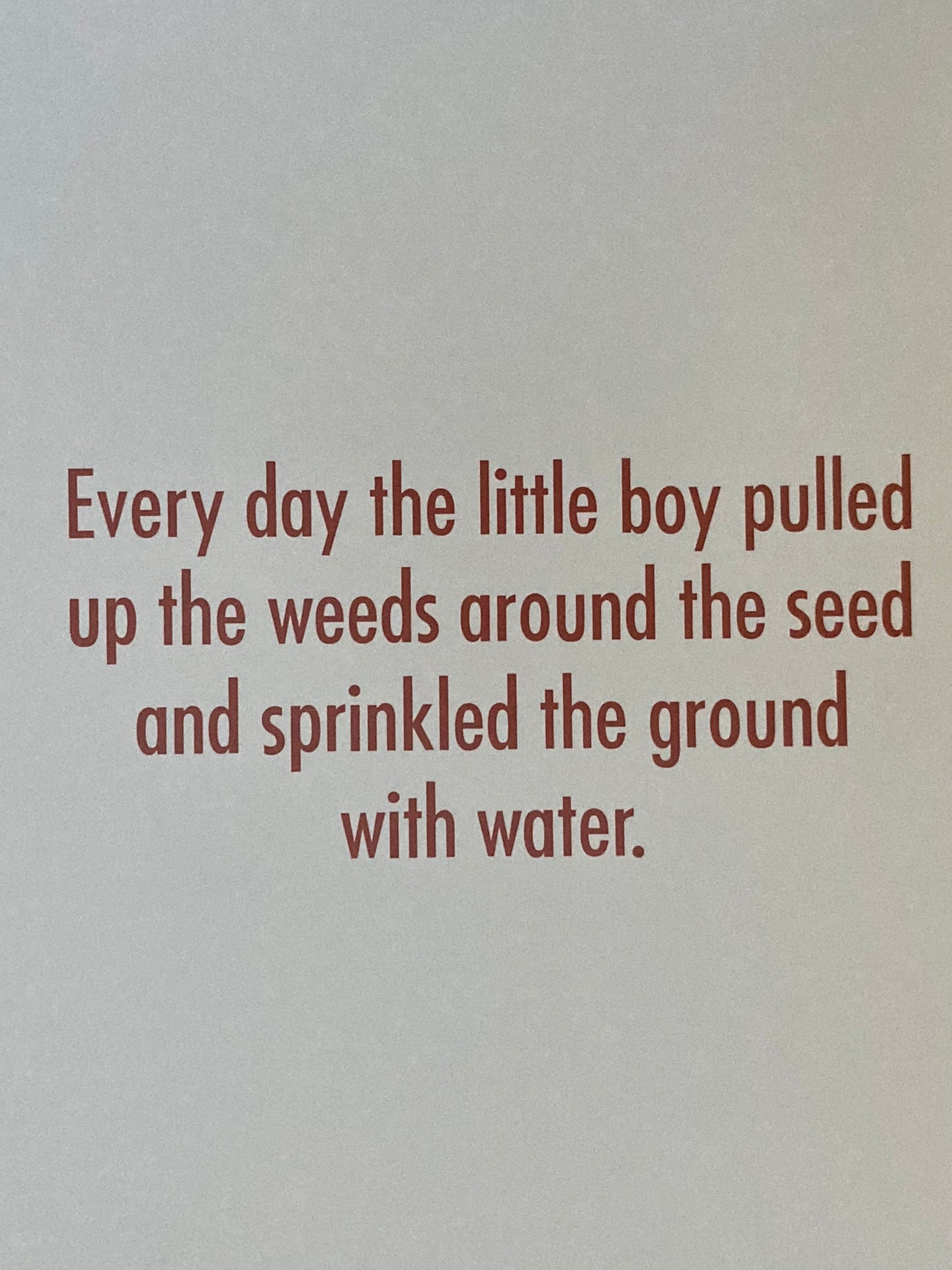 Board Book, Baby - THE CARROT SEED