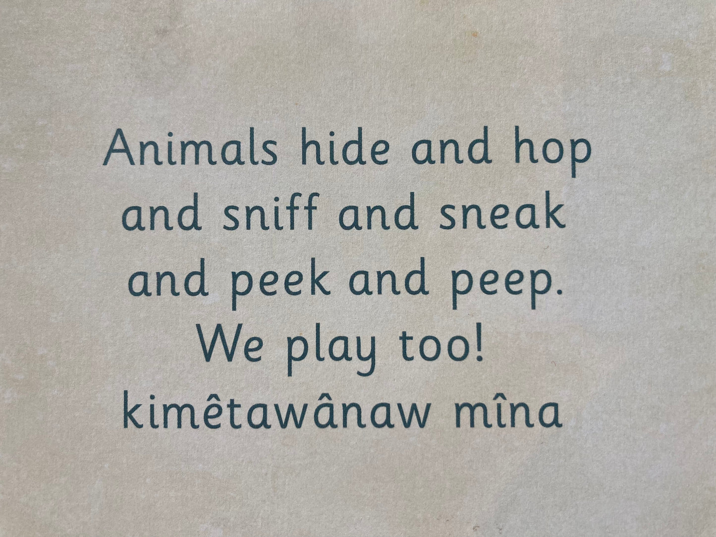 Children’s Picture Book - WE ALL PLAY