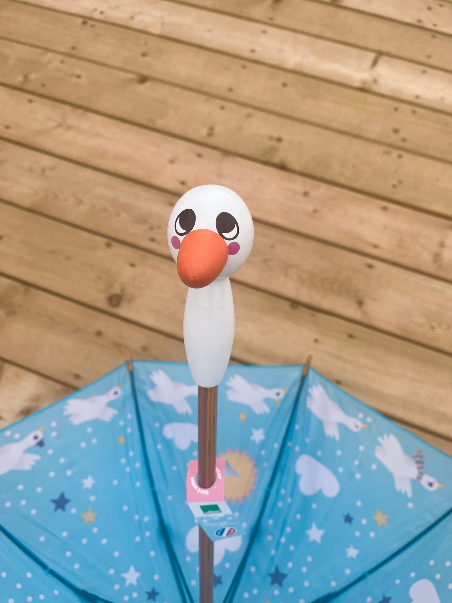 PARAPLUIE Enfant - CANARD DANS LE CIEL