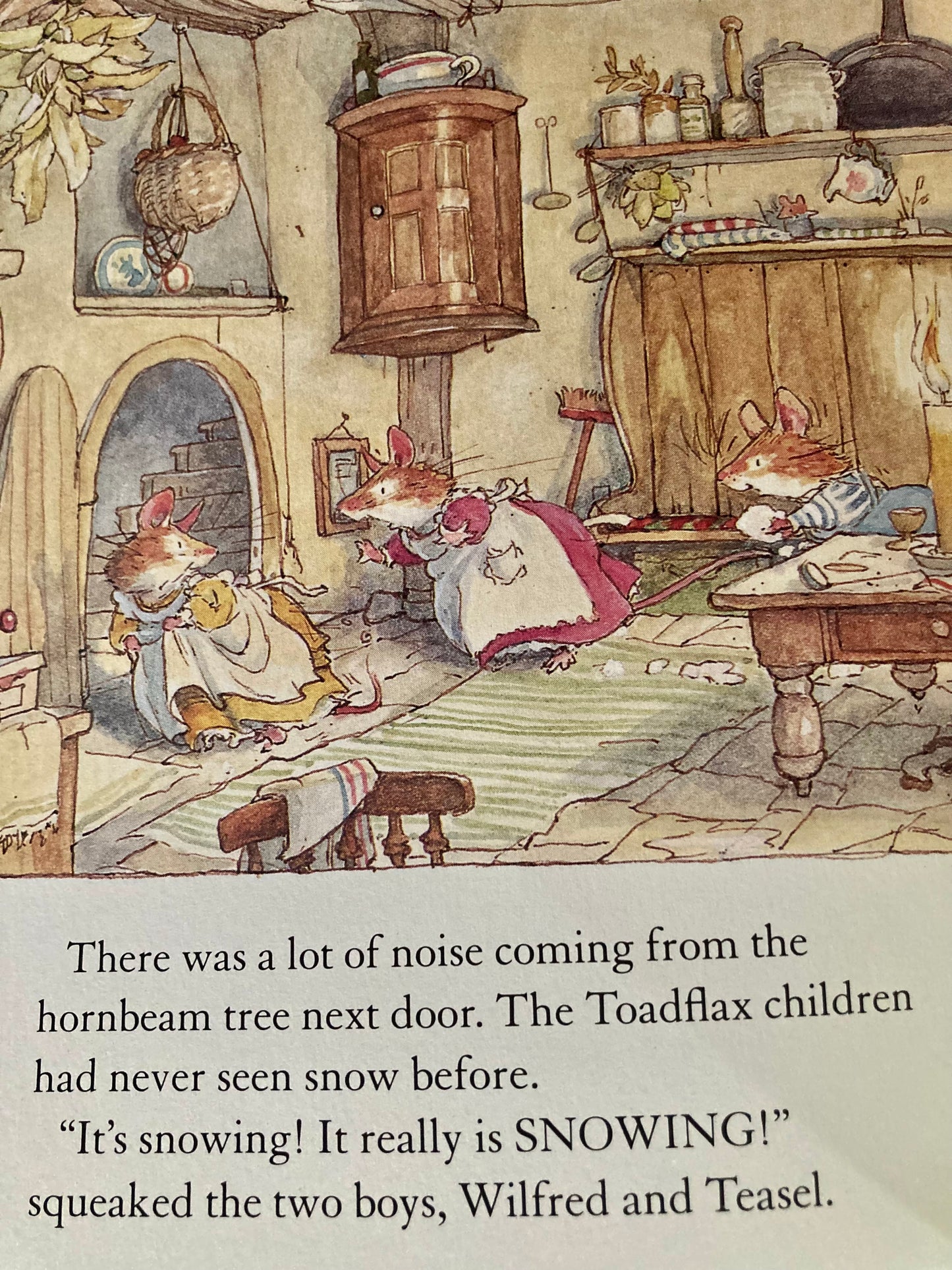 Livre d'images pour enfants - HISTOIRE D'HIVER DES SOURIS DE BRAMBLY HEDGE