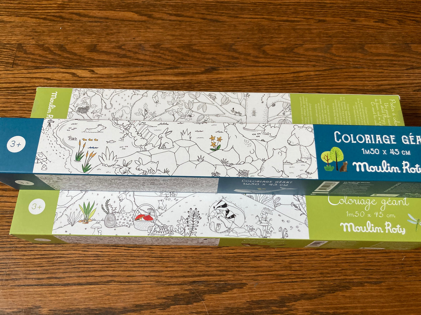 Educational Activity Set - COLOURING FOREST SCENE