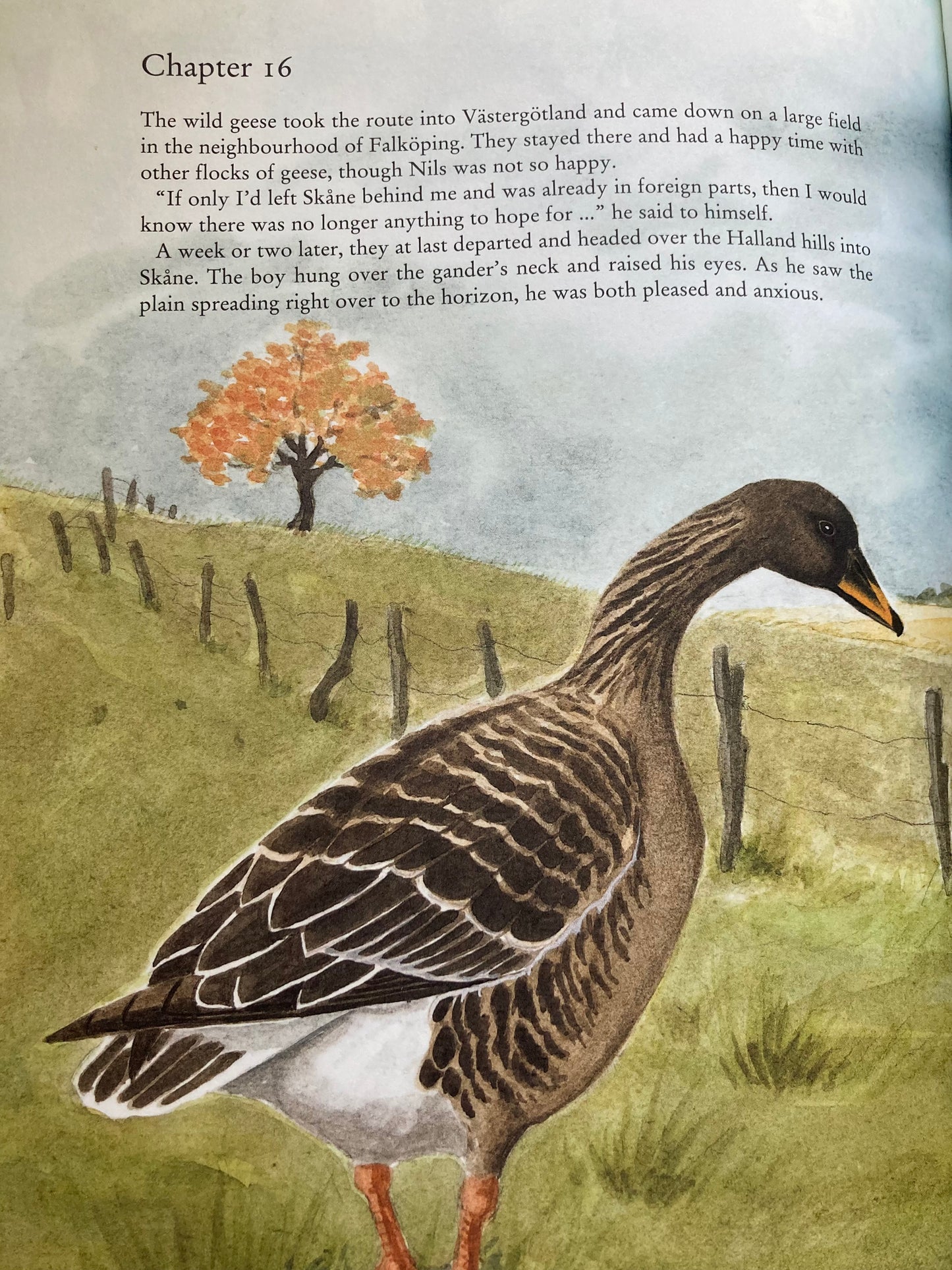 Children's Chapter Picture Book - THE WONDERFUL ADVENTURES OF NILS