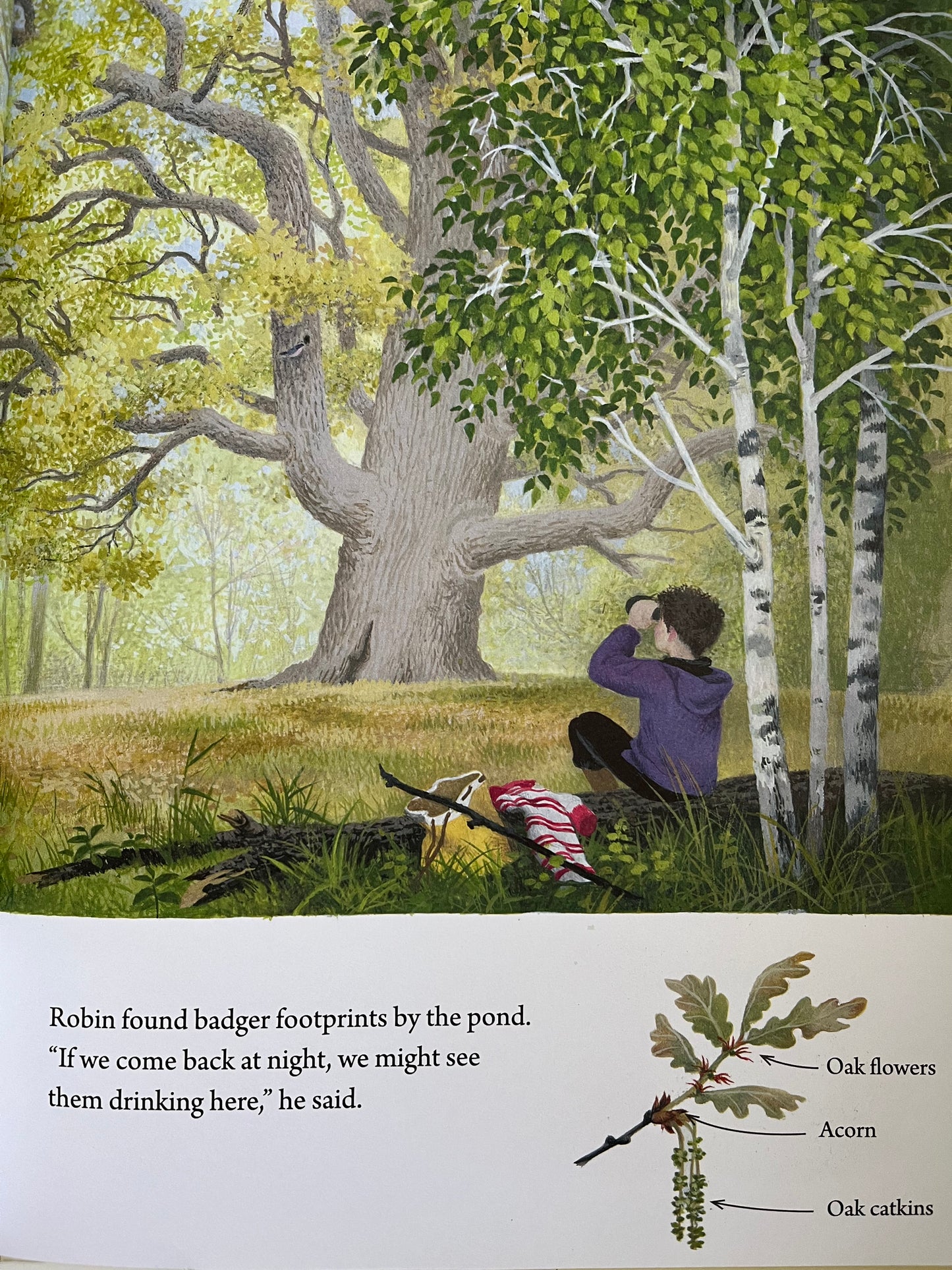 Livre d'images éducatif pour enfants - UNE ANNÉE AUTOUR DU GRAND CHÊNE