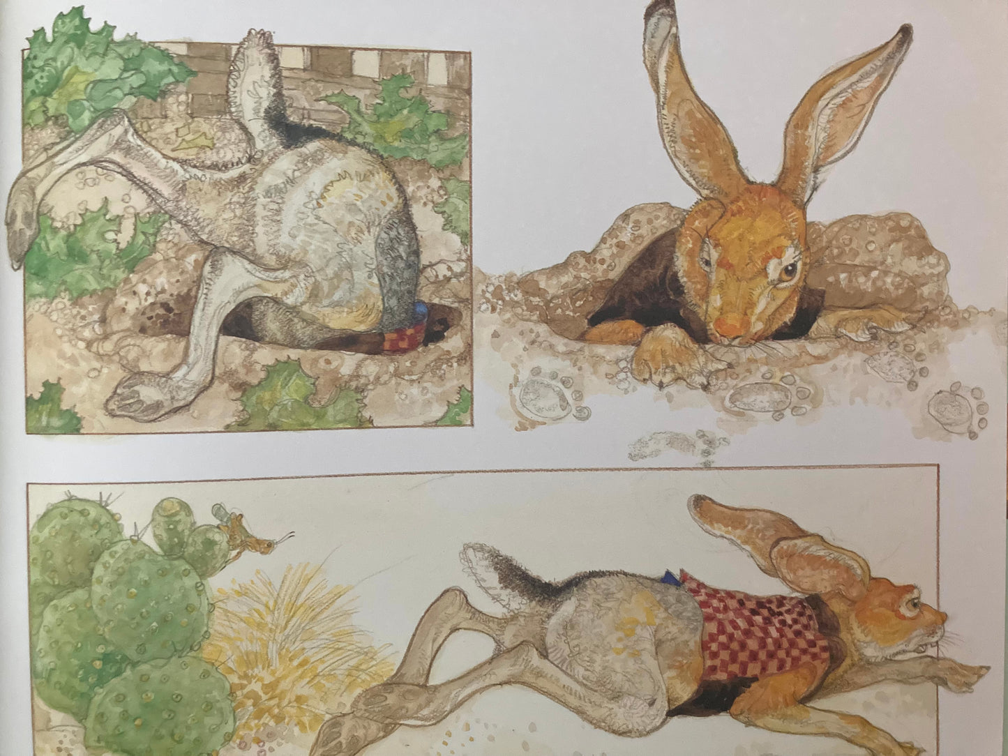 Contes et fables pour enfants - LA TORTUE ET LE LIÈVRE