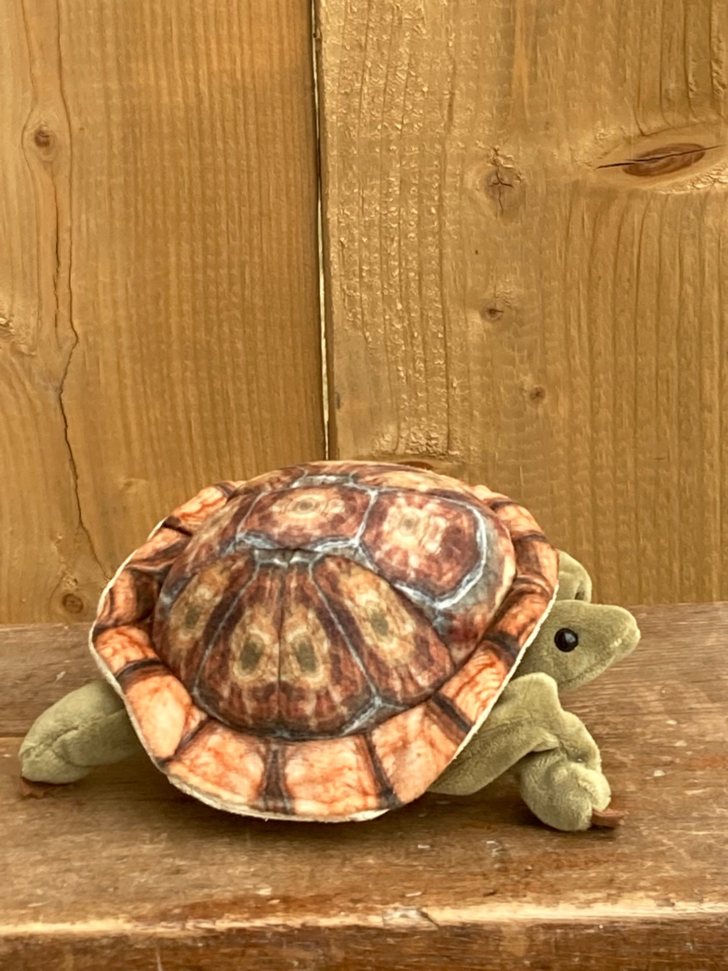 Marionnette à doigt en peluche - TORTUE