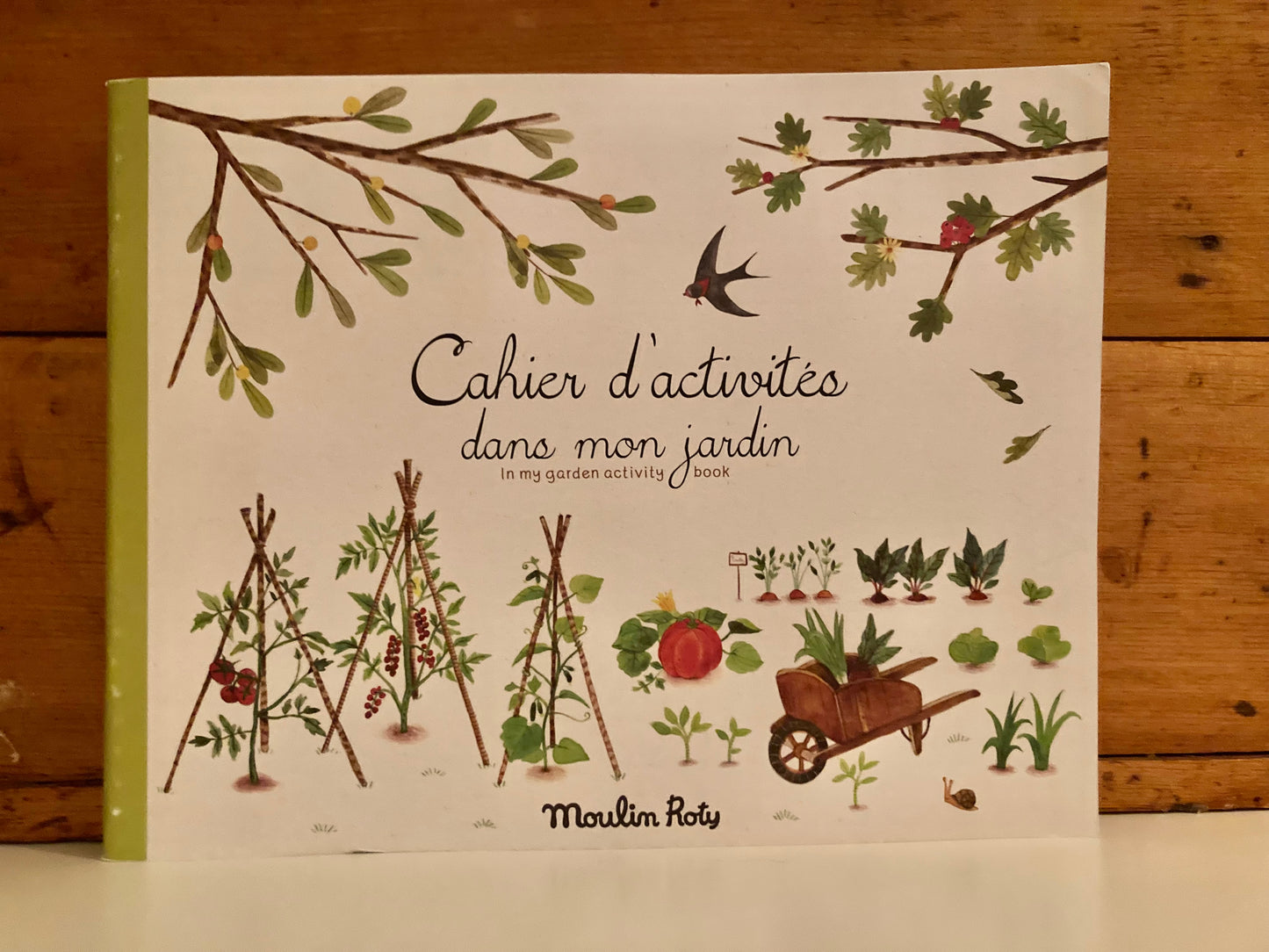 Art Activity Set - GARDENING BOOK, Colouring & more!