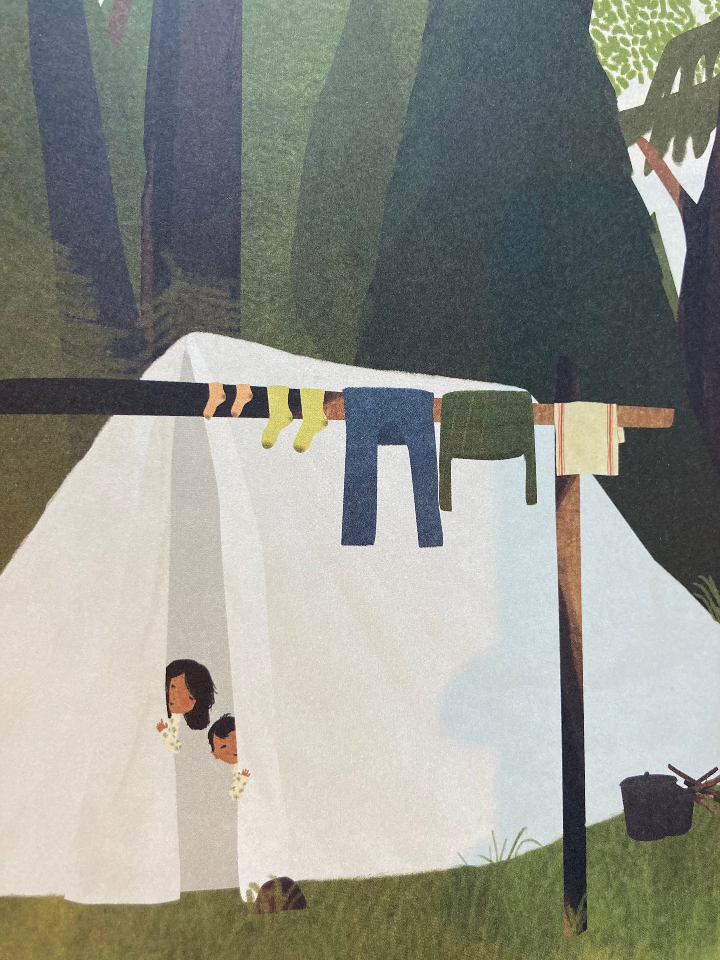 Children’s Picture Book - ON THE TRAPLINE