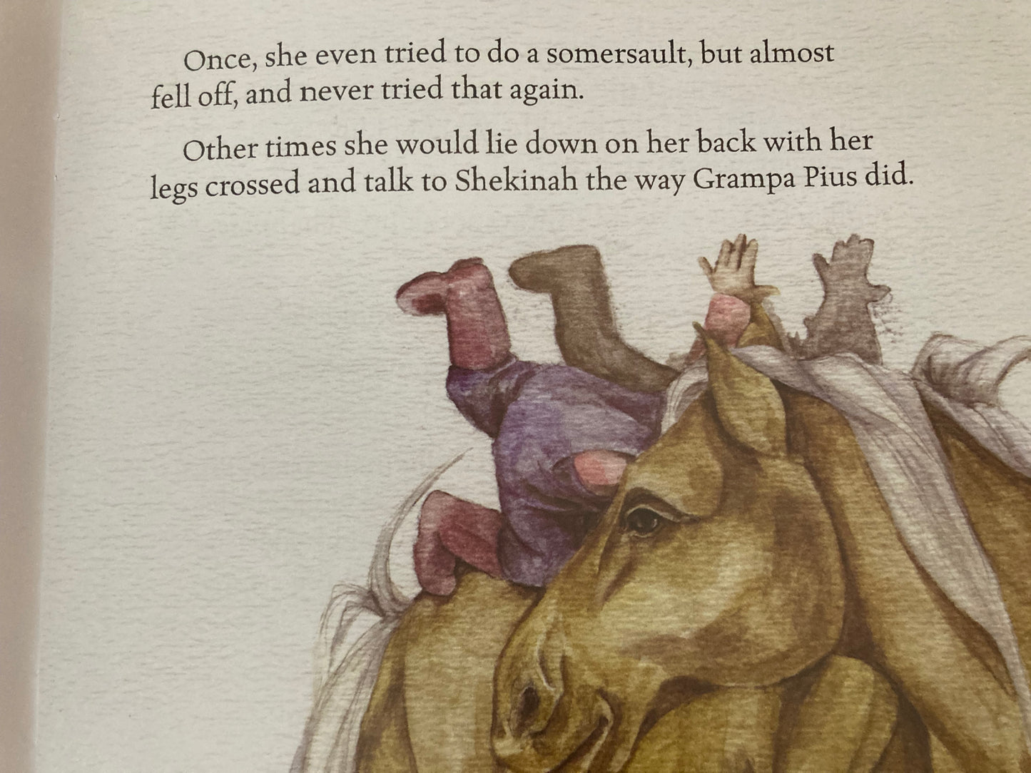 Children’s Picture Book - EVERYTHING THAT SHINES
