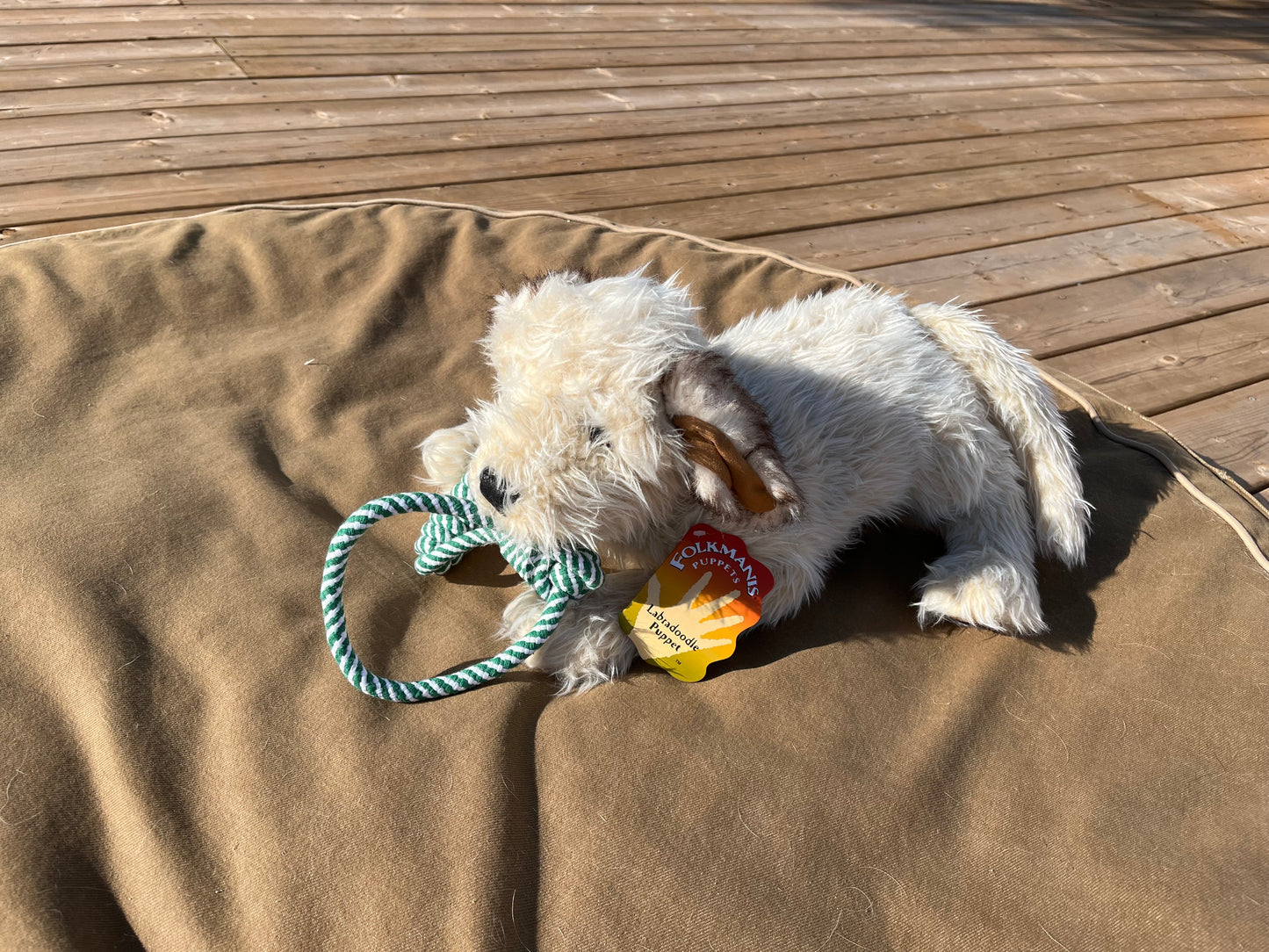 Soft Puppet Pet - LABRADOODLE PUPPY