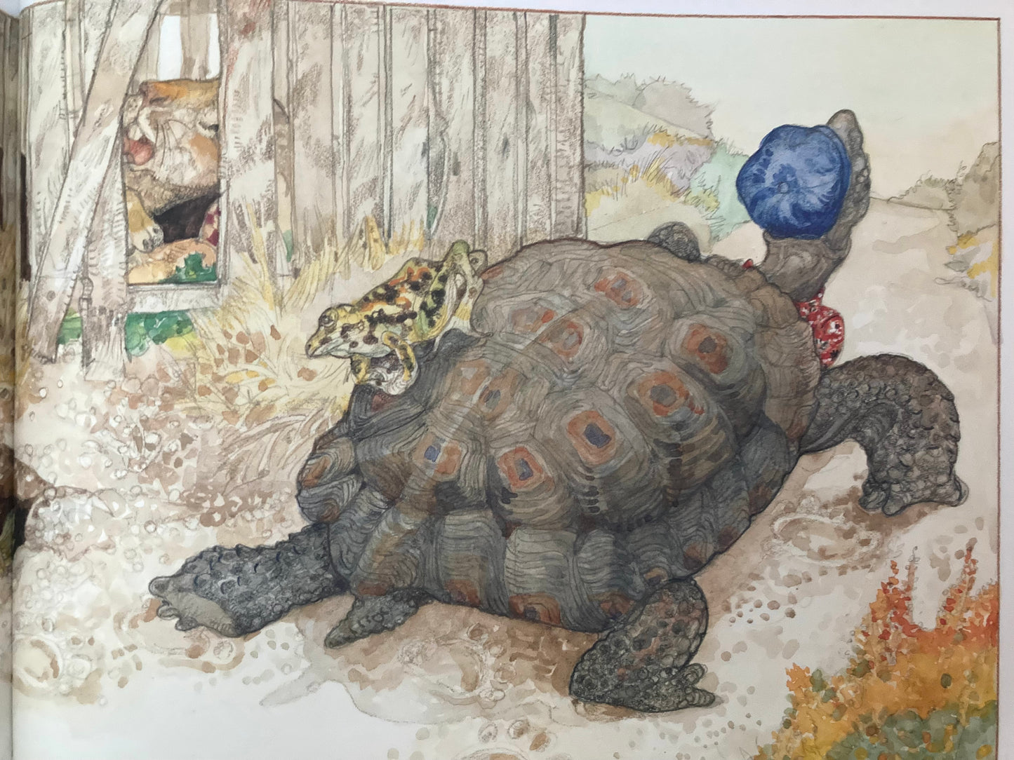 Contes et fables pour enfants - LA TORTUE ET LE LIÈVRE