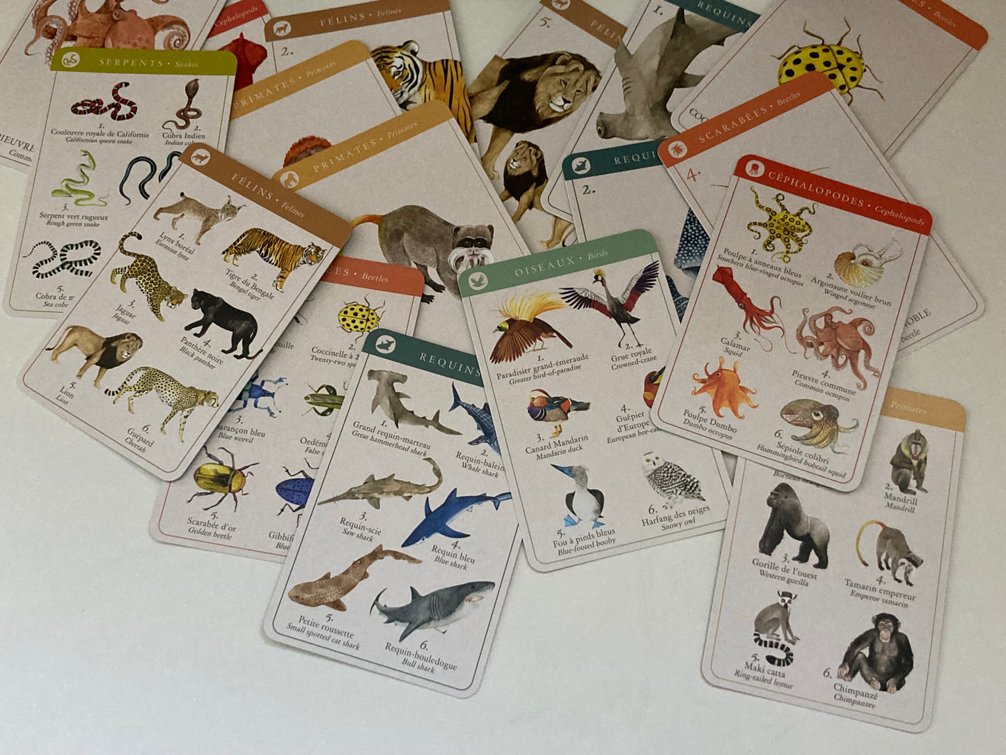 Educational Card Game - ANIMAL FAMILIES, in French & English!