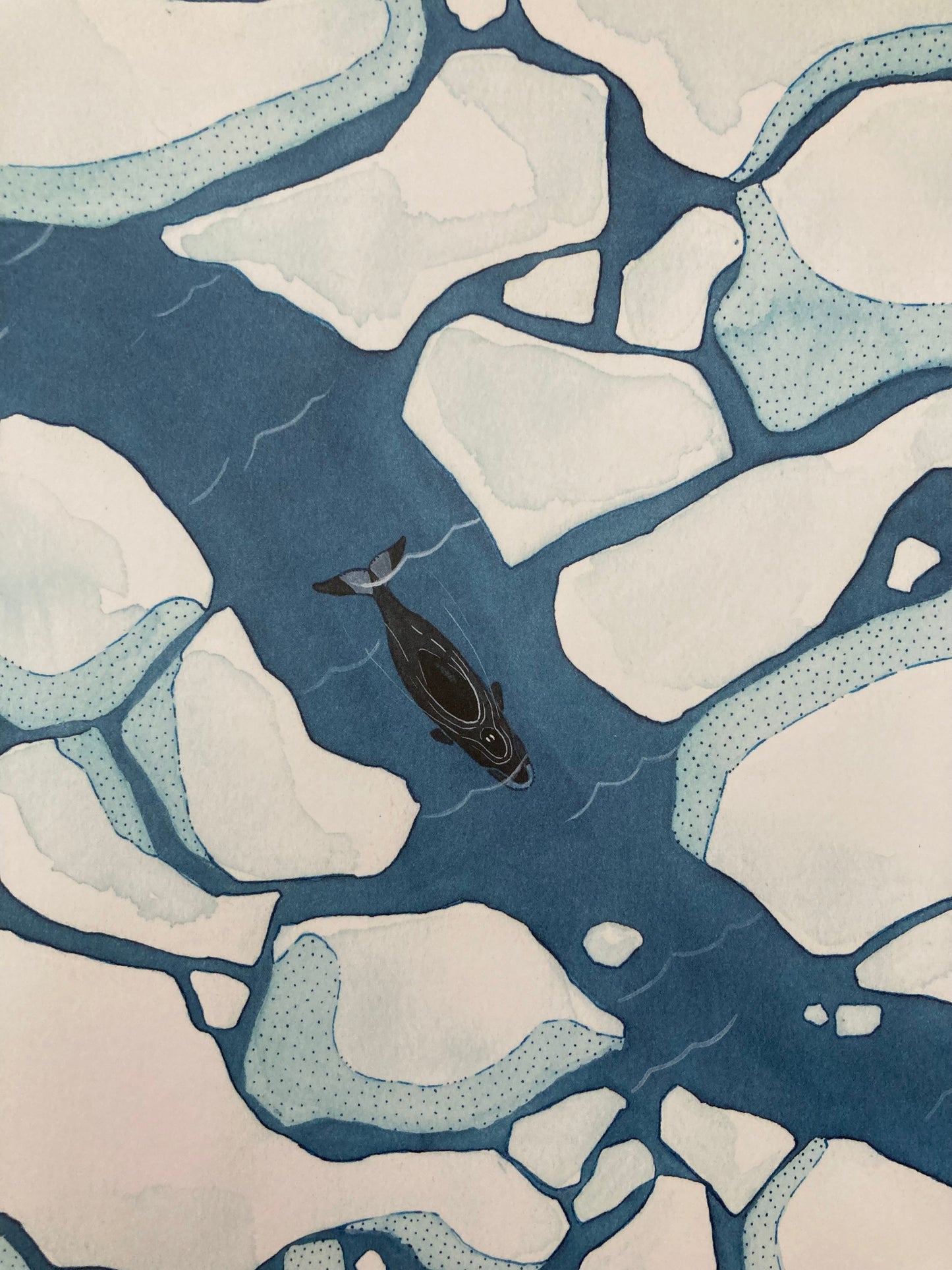 Educational Children's Picture Book - THE WHALE WHO SWAM THROUGH TIME