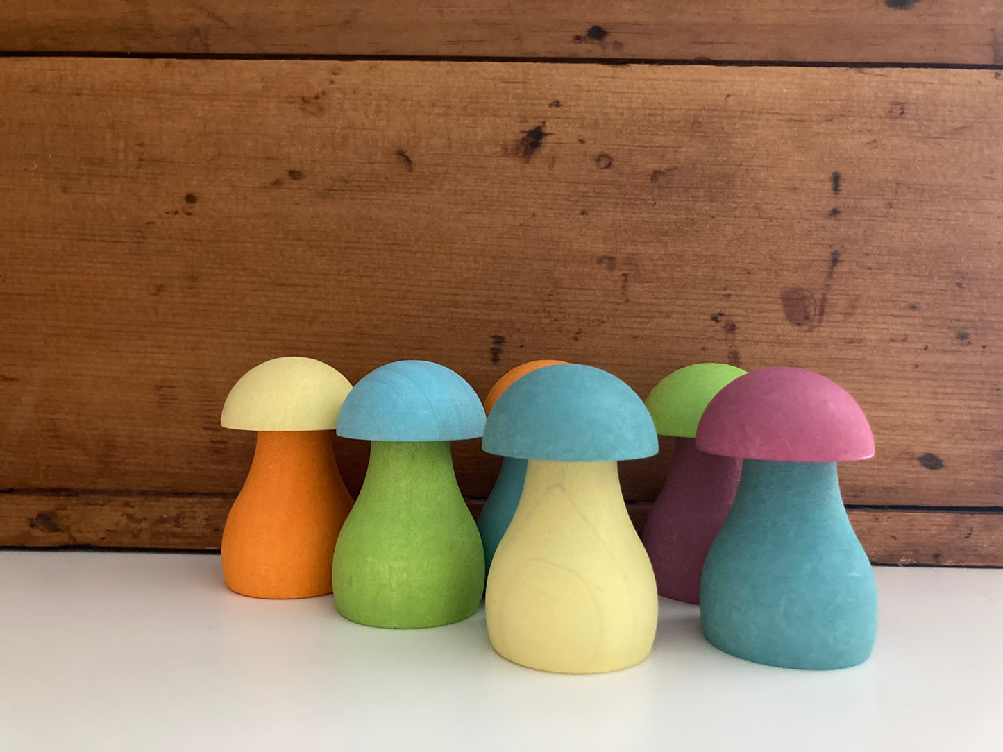 Wooden Toy Game - PASTEL MUSHROOMS GAME Set