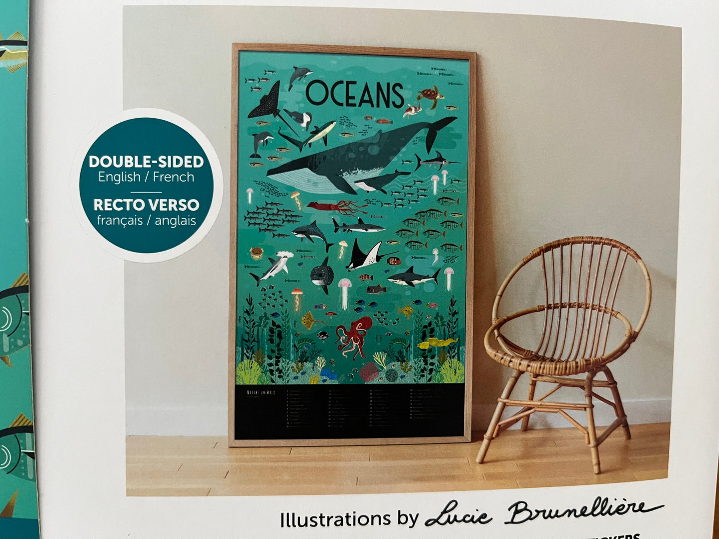Ensemble d'activités - AFFICHE OCÉAN avec AUTOCOLLANTS amovibles !