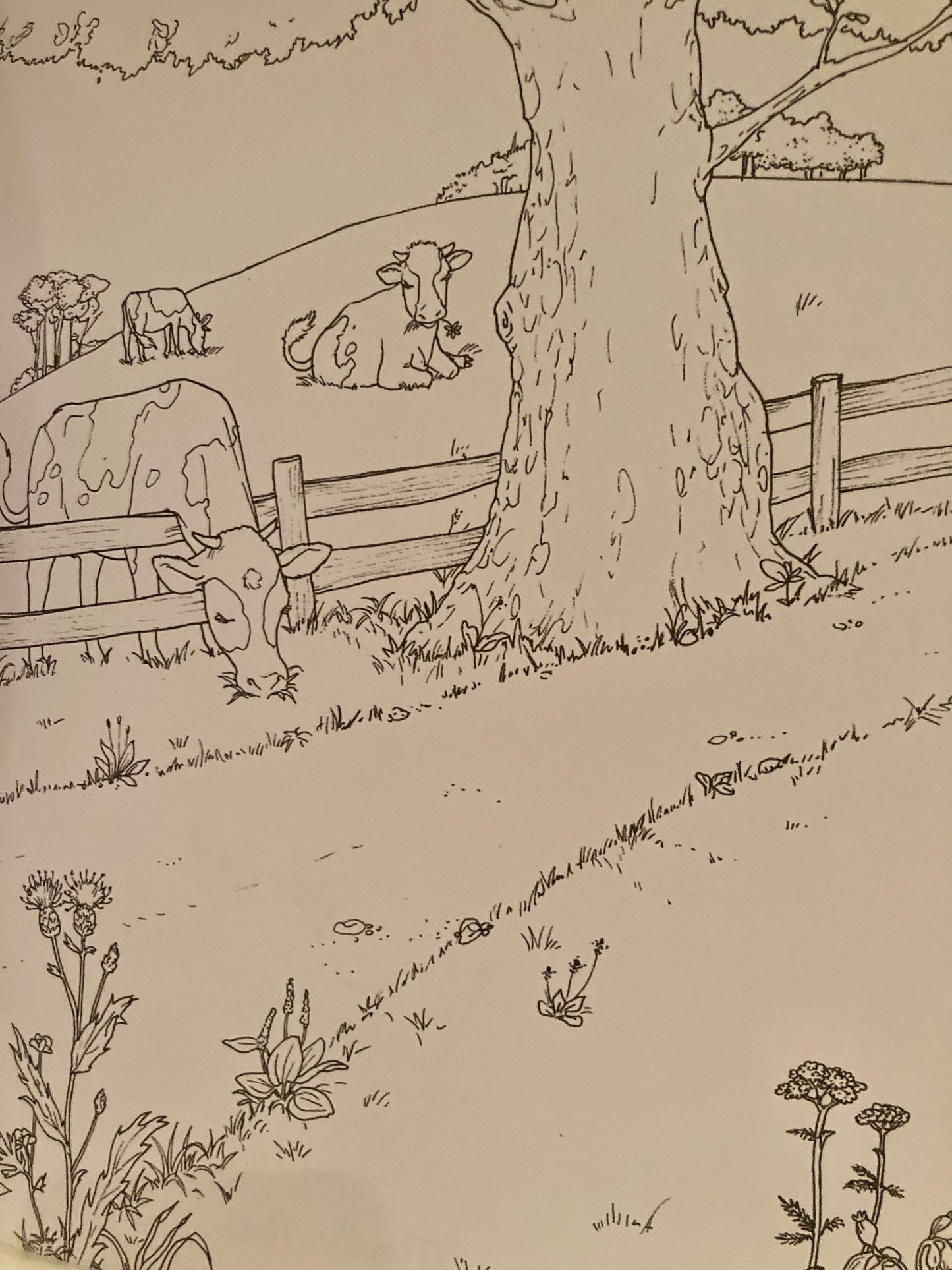 Art Activity Set - "TO THE GARDEN" Colouring Book & More!