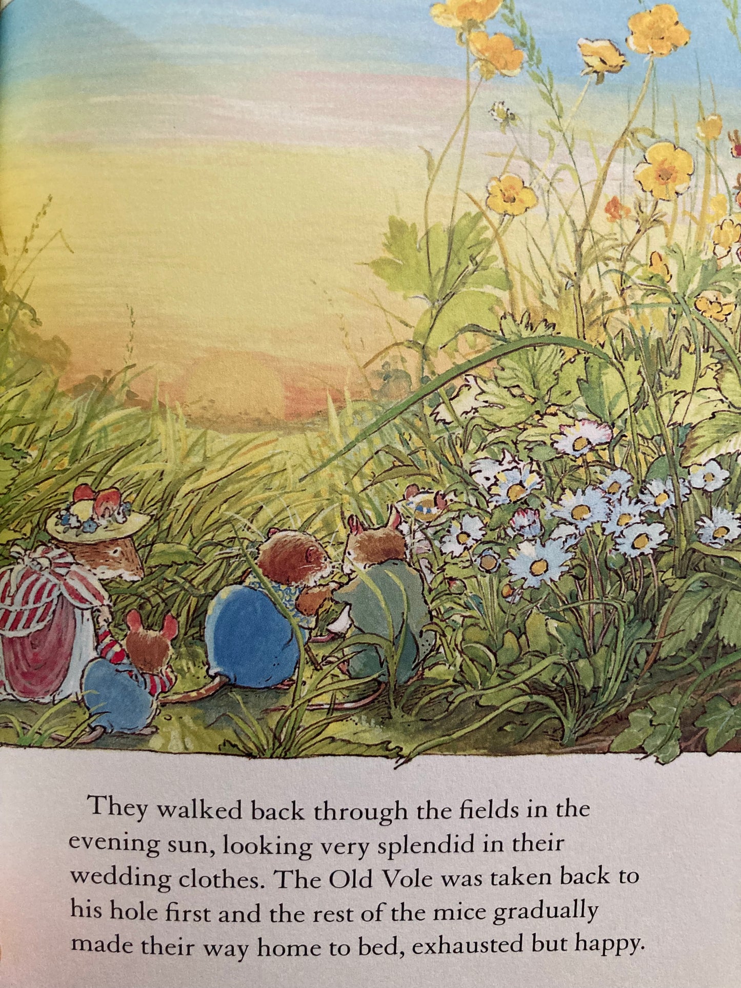 Children's Picture Book - SUMMER STORY of THE MICE OF BRAMBLY HEDGE