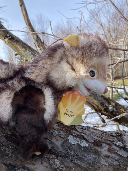Soft Puppet Toy - FERRET Hand Puppet