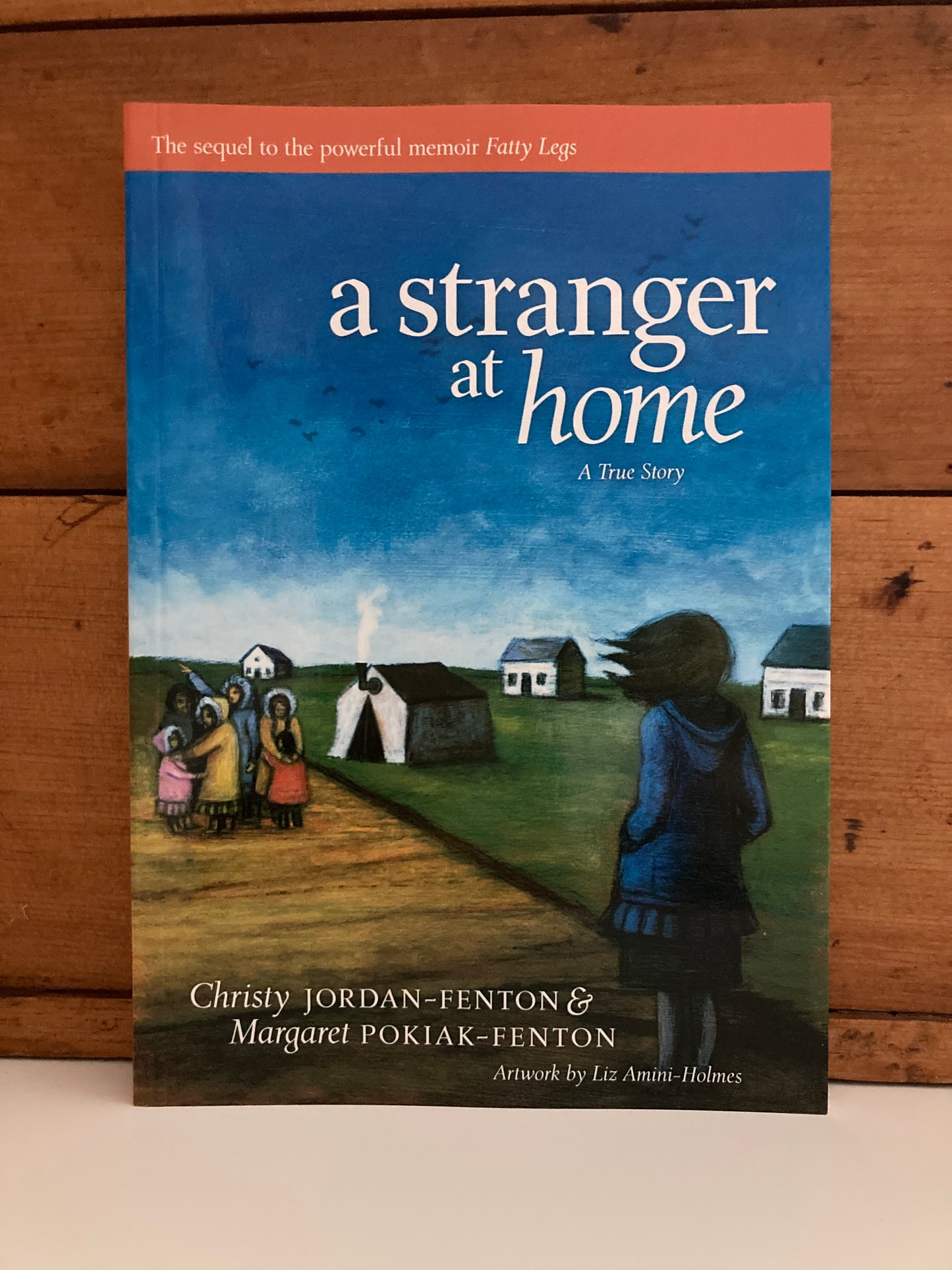 Chapter Books for Older Readers - A STRANGER AT HOME
