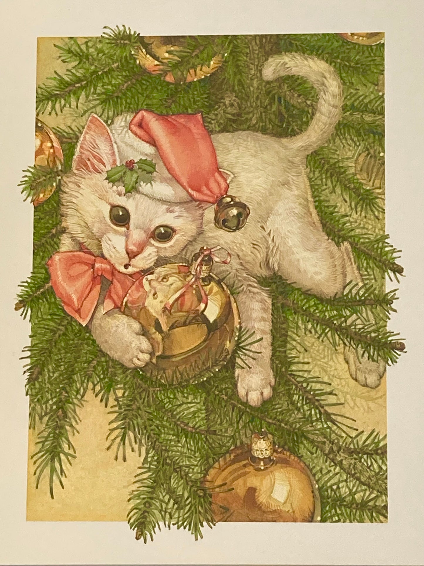 Board Book, Baby - THE TWELVE DAYS OF CHRISTMAS CATS