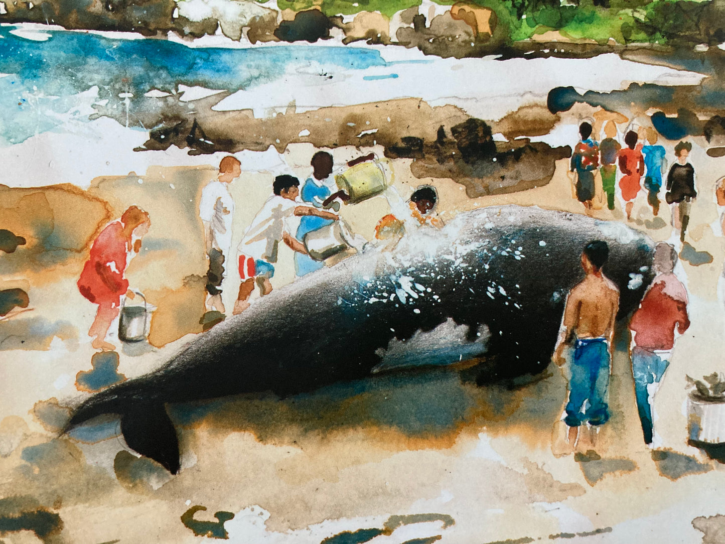 Livre d'images éducatif pour enfants - WENDY LA BALEINE