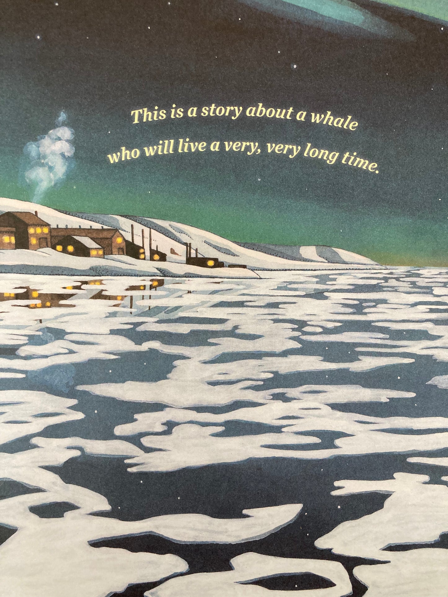 Educational Children's Picture Book - THE WHALE WHO SWAM THROUGH TIME