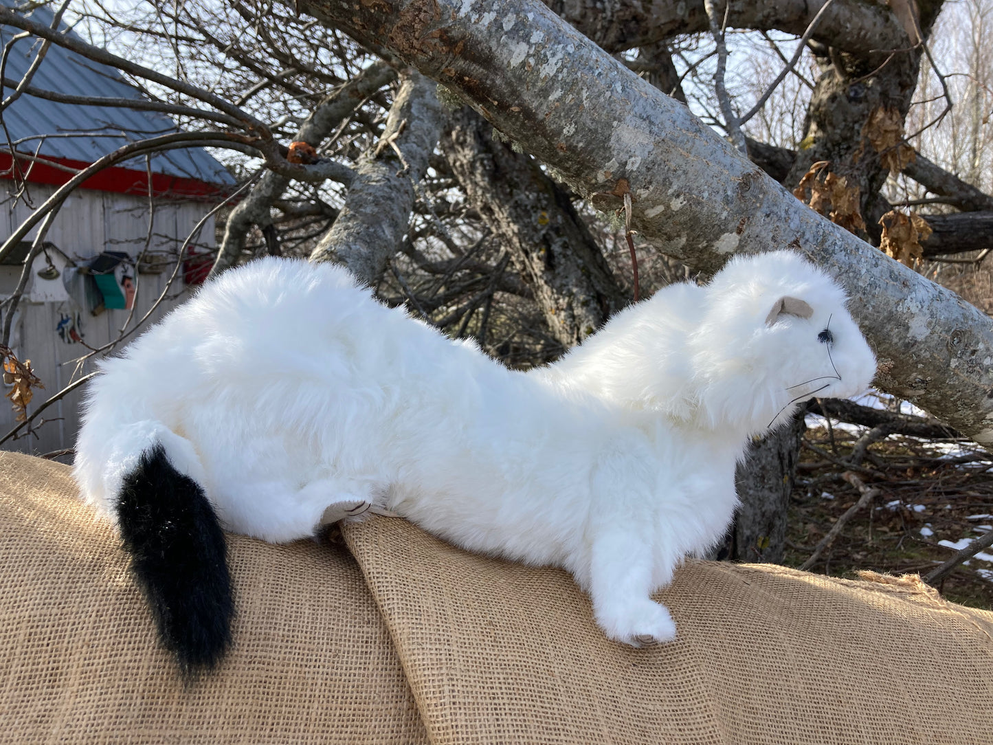 Jouet de marionnette souple - Marionnette à main ERMINE