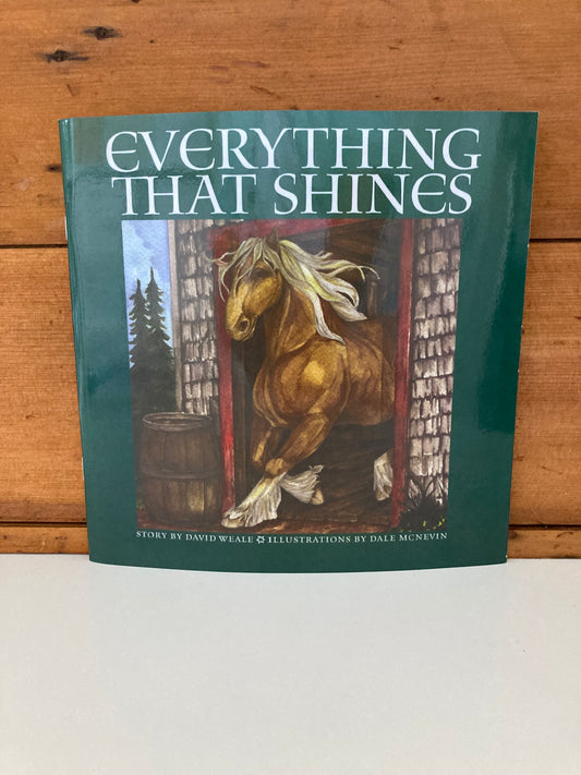 Children’s Picture Book - EVERYTHING THAT SHINES