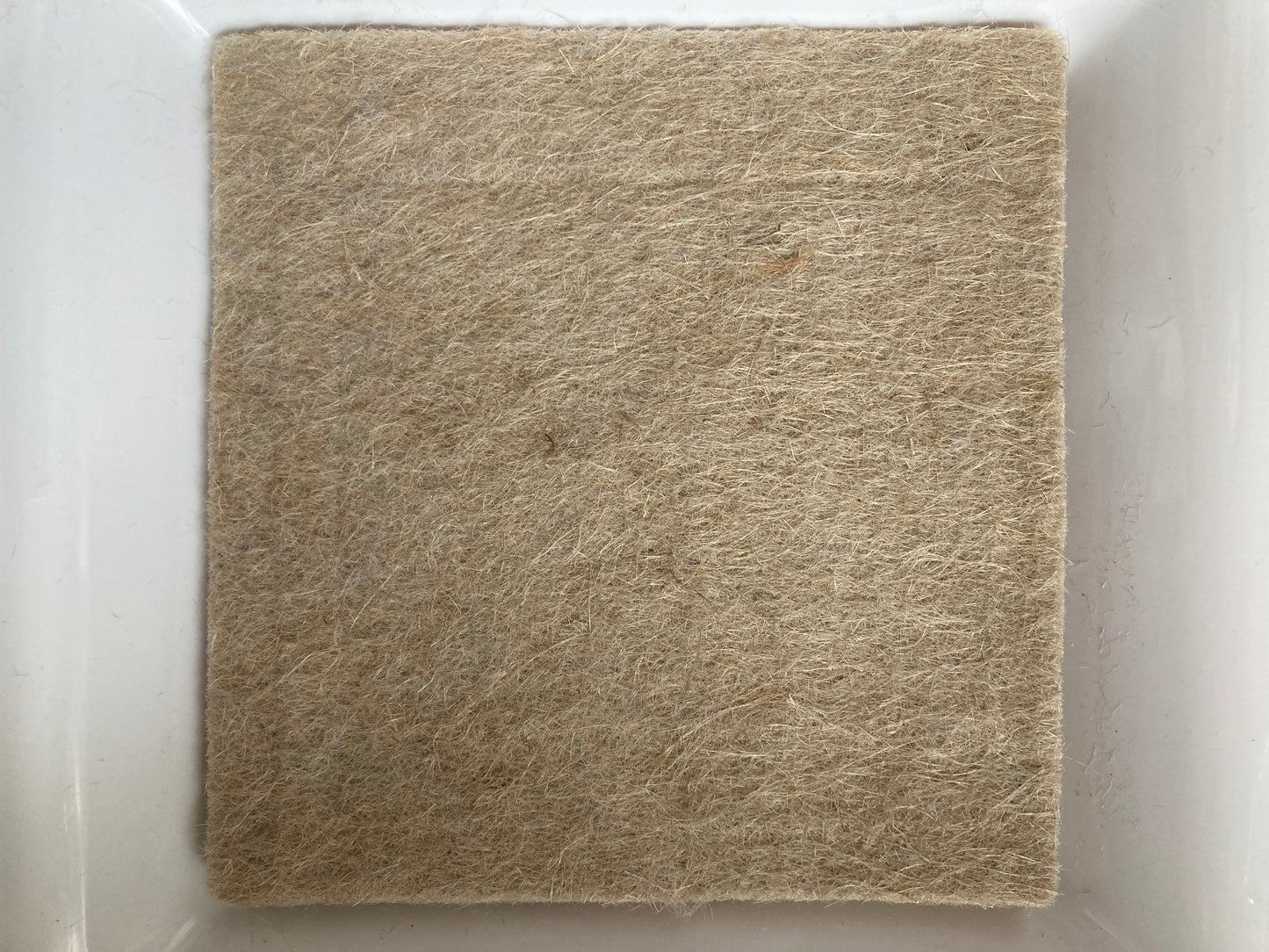 KIT DE DÉMARRAGE DE SEMENCES Ensemble avec 4 PADS SUPPLÉMENTAIRES (Tout ce dont vous avez besoin)