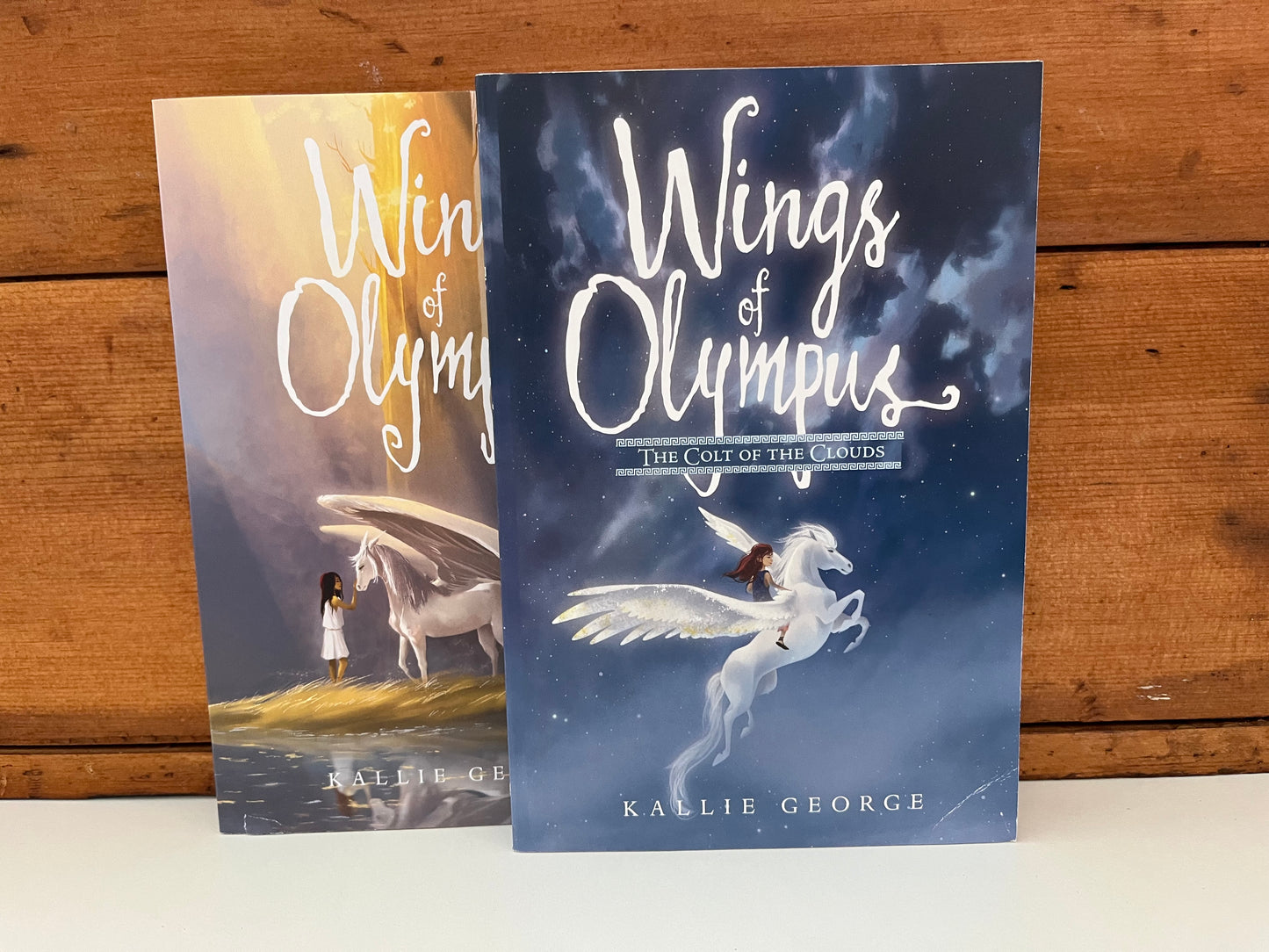 Chapter Books for Older Readers - WINGS OF OLYMPUS, Book One