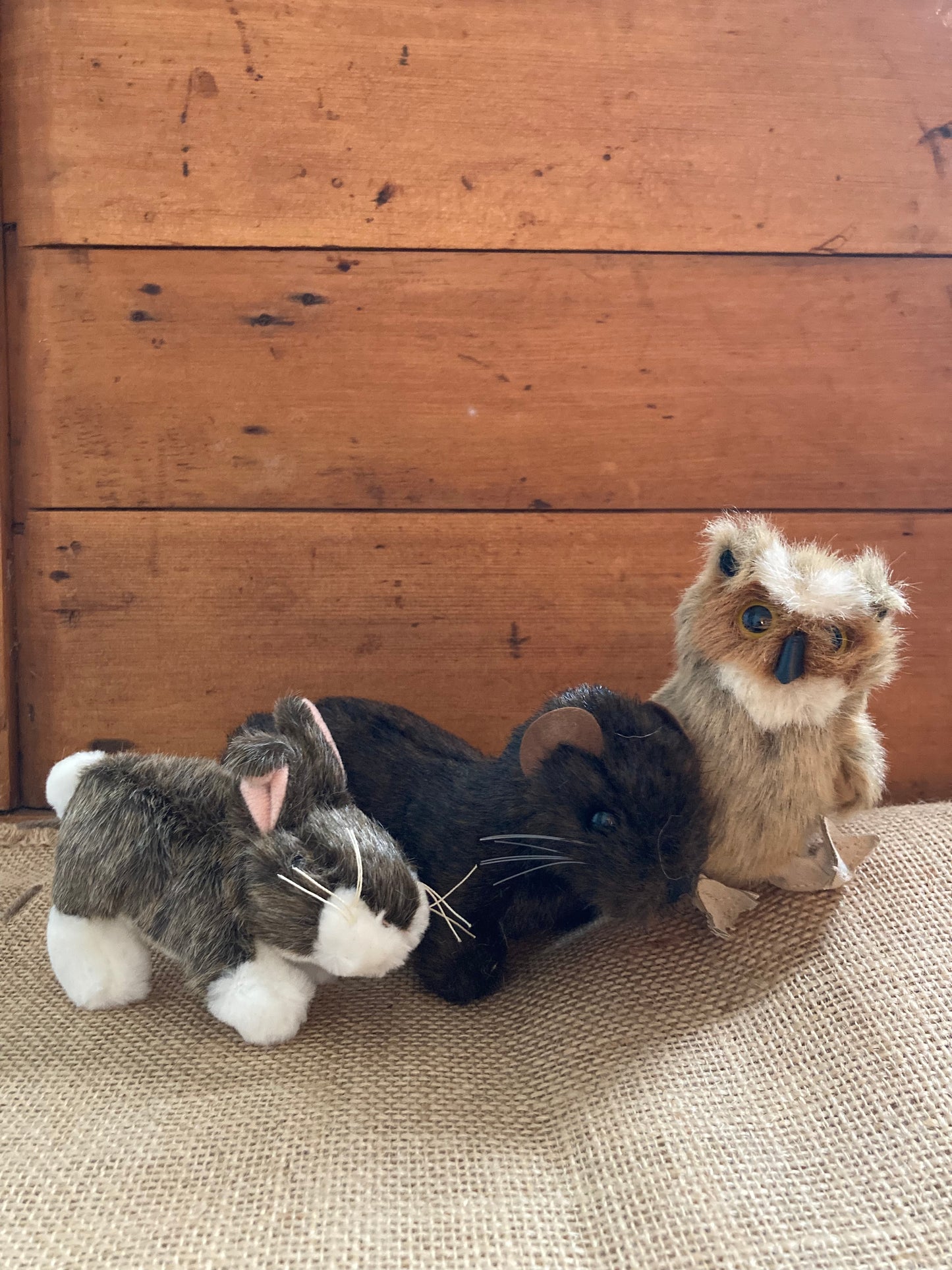Marionnette à doigt en peluche - LAPIN À QUEUE DE COTON