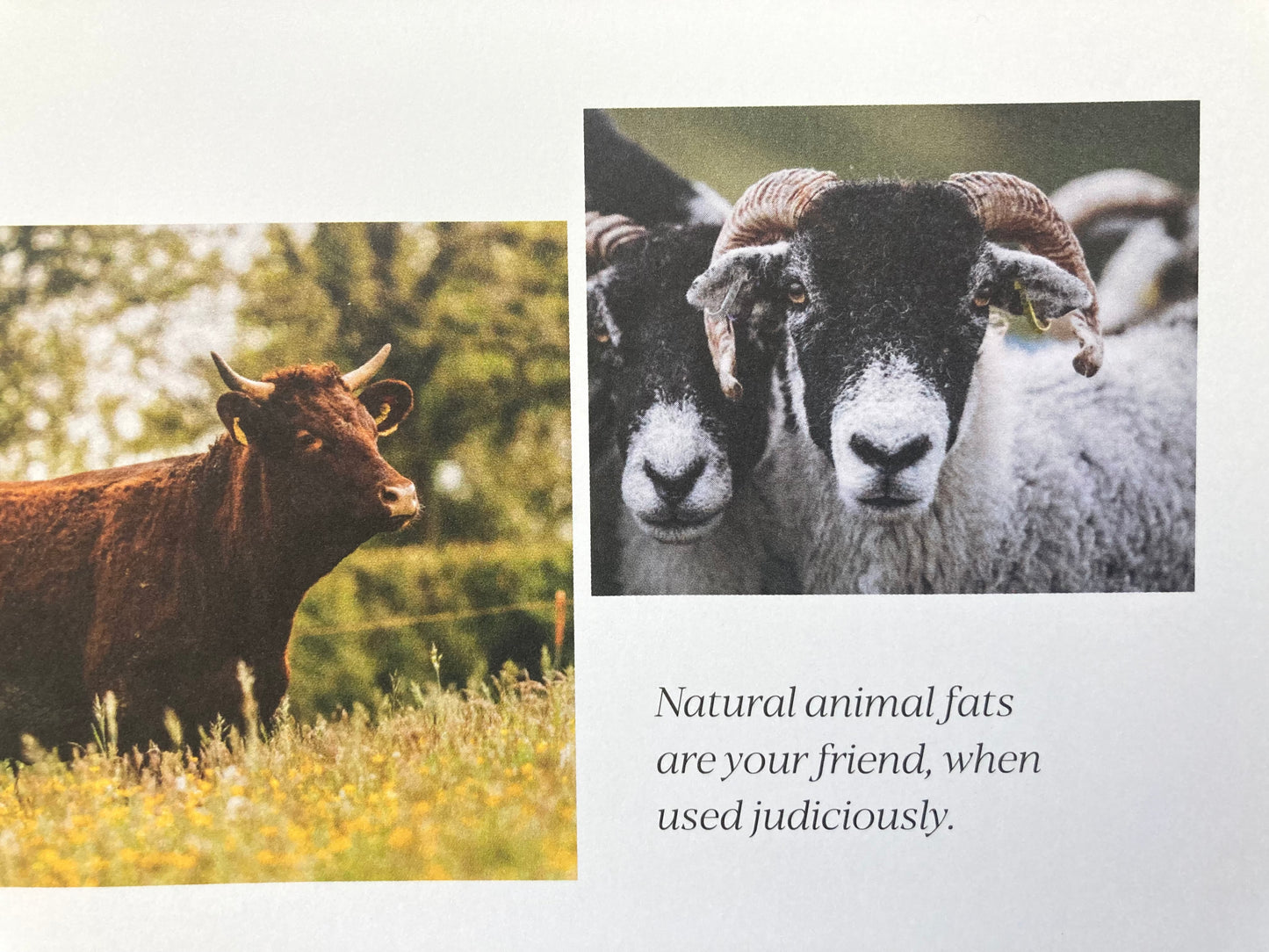 Parenting Resource Book - PIPER’S FARM COOKBOOK, Recipes & Wisdom