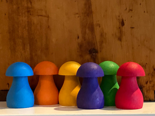 Jeu de jouets en bois - Jeu de champignons arc-en-ciel