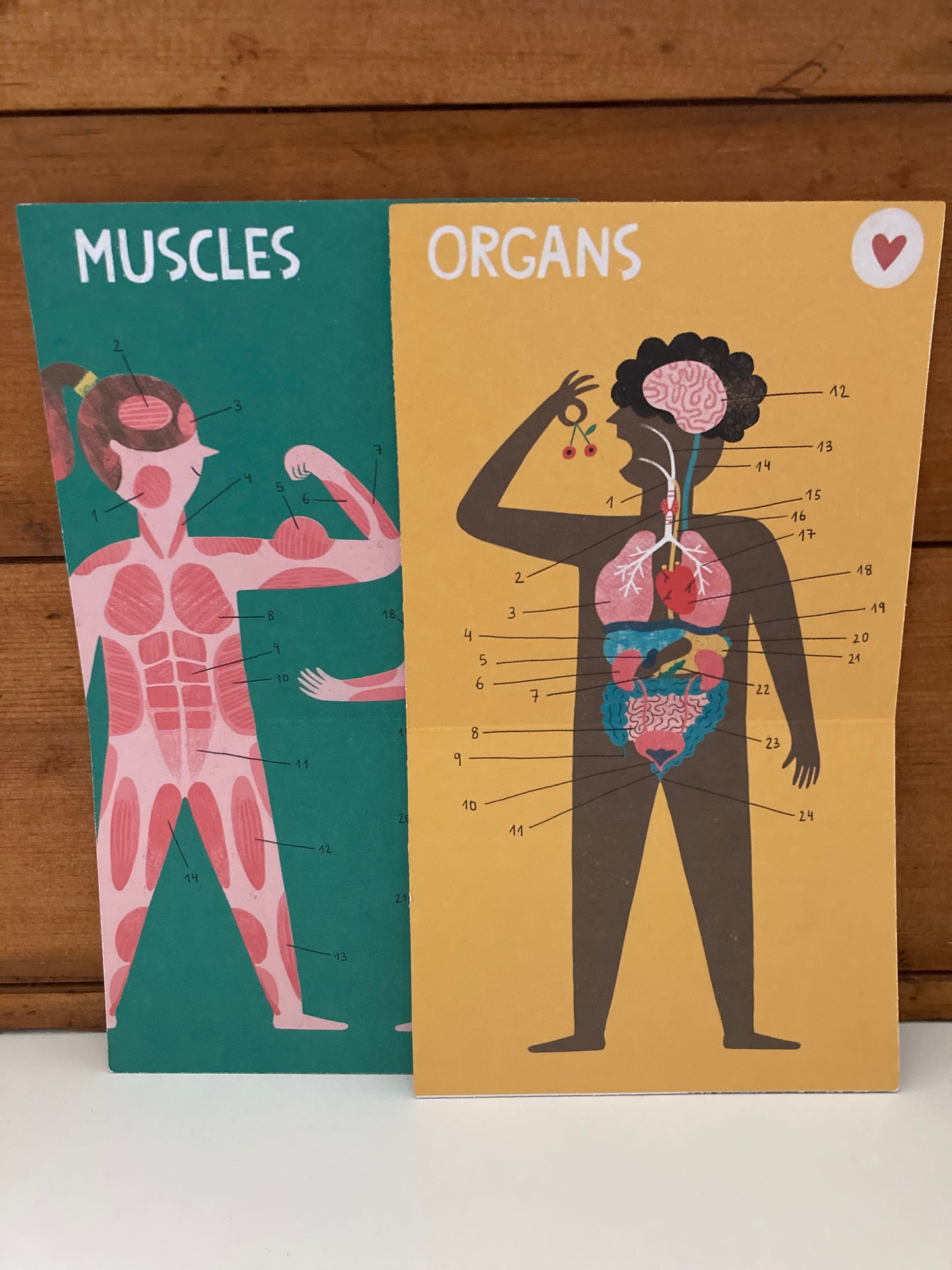 Educational Game Set - INSIDE ME