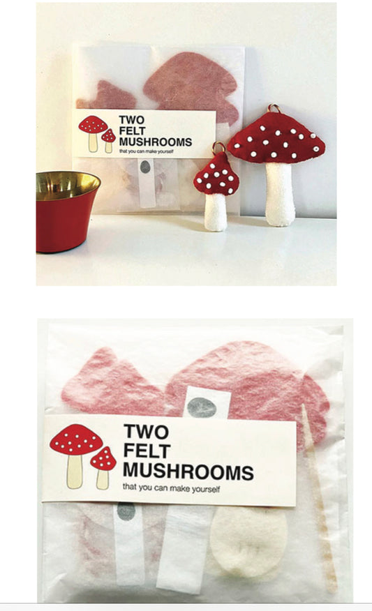 Kits d’artisanat - CHAMPIGNONS en feutre, fait 2 !