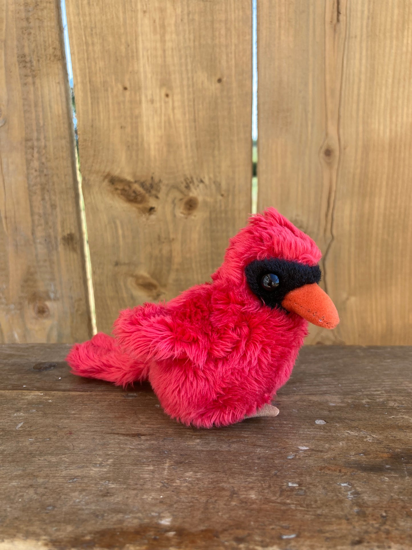 Marionnette à doigt peluche - CARDINAL