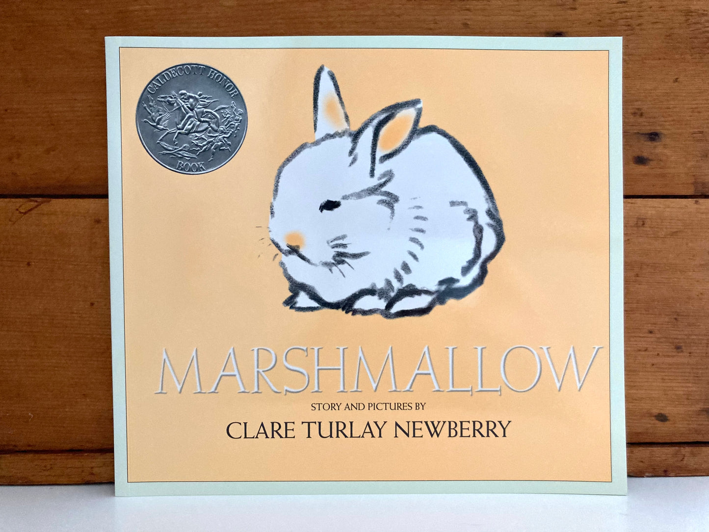 Children's Picture Book - MARSHMALLOW