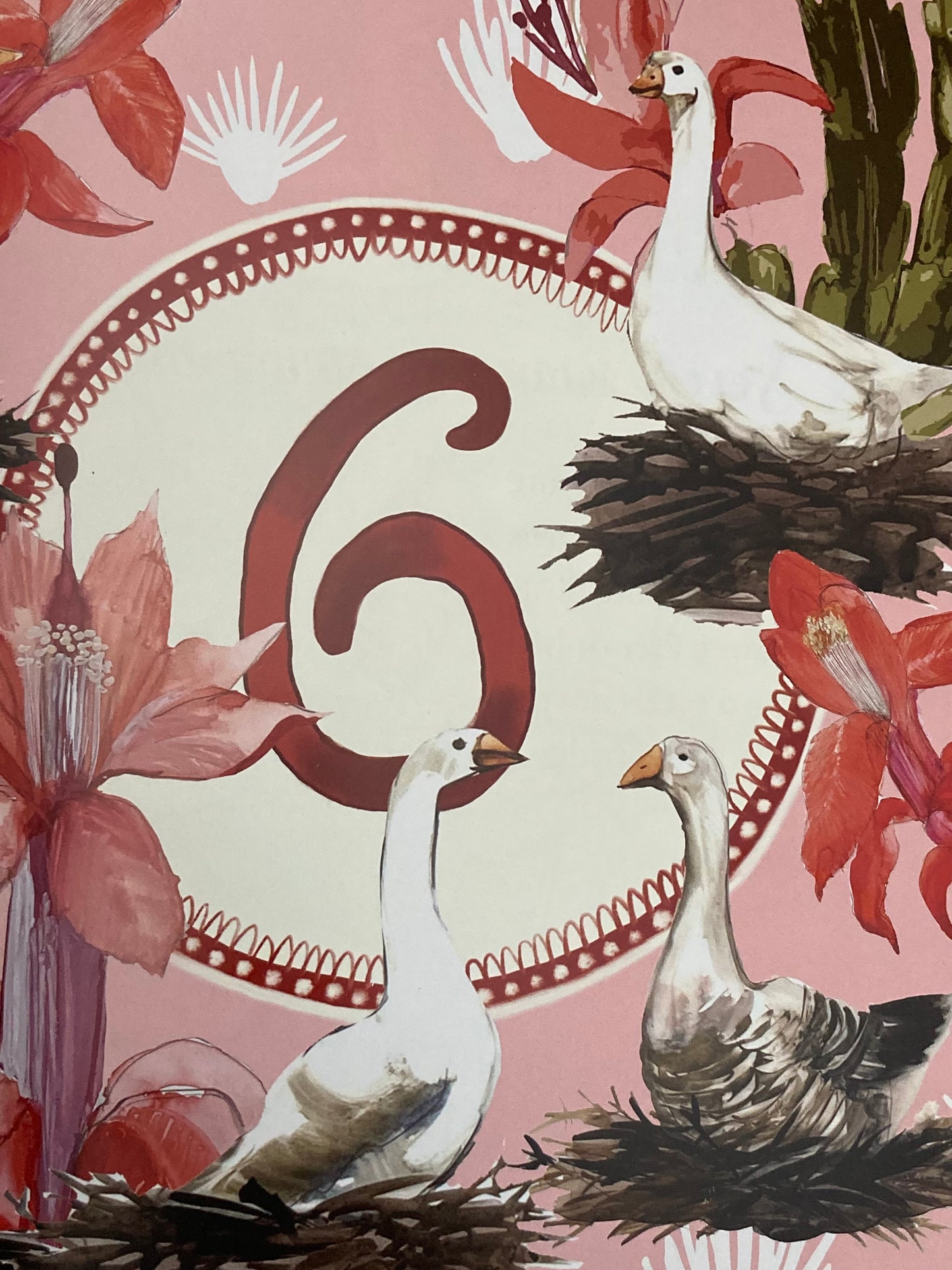 Children's Picture Book - THE TWELVE DAYS OF CHRISTMAS, A Celebration of Nature