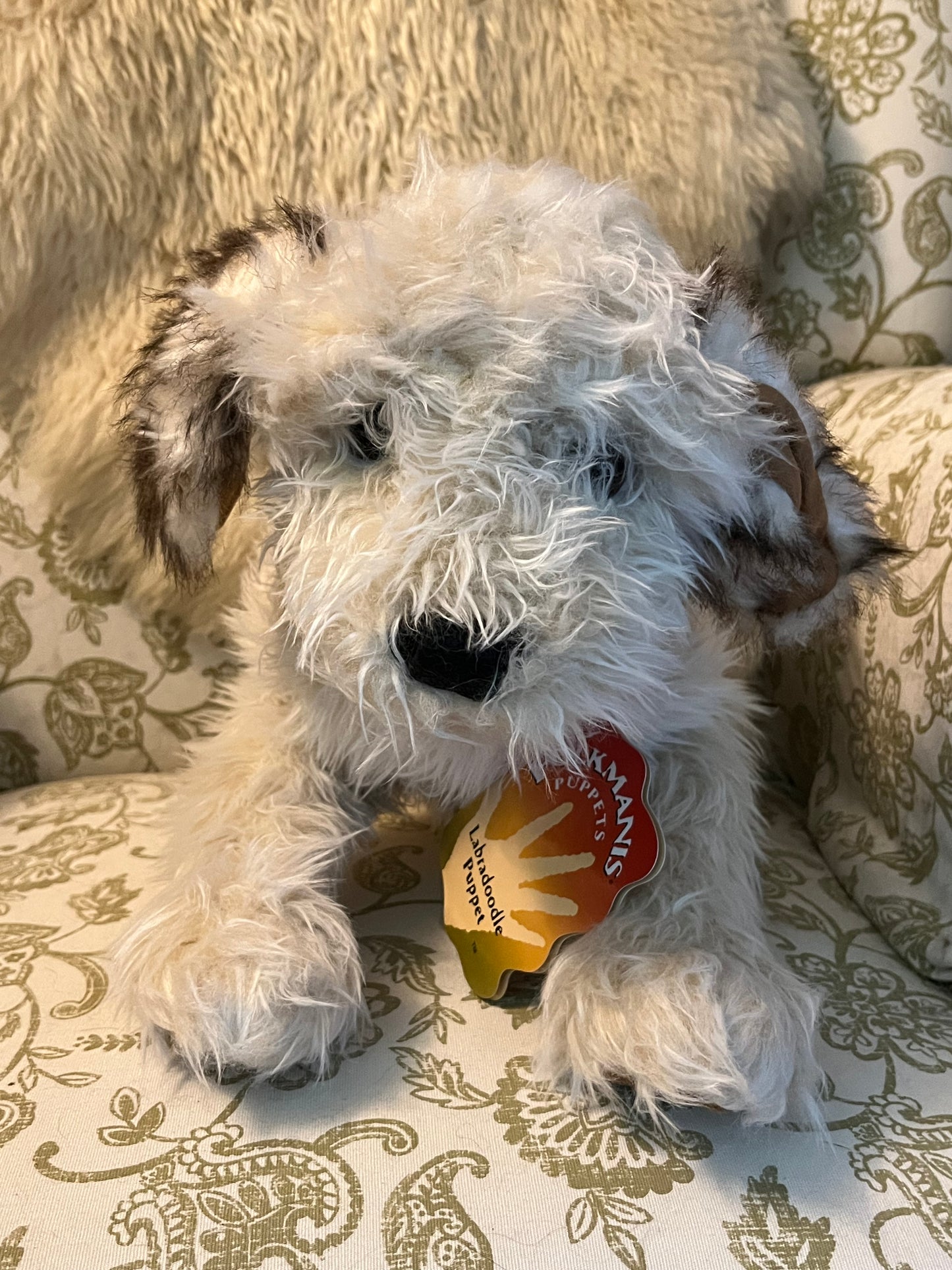 Soft Puppet Pet - LABRADOODLE PUPPY