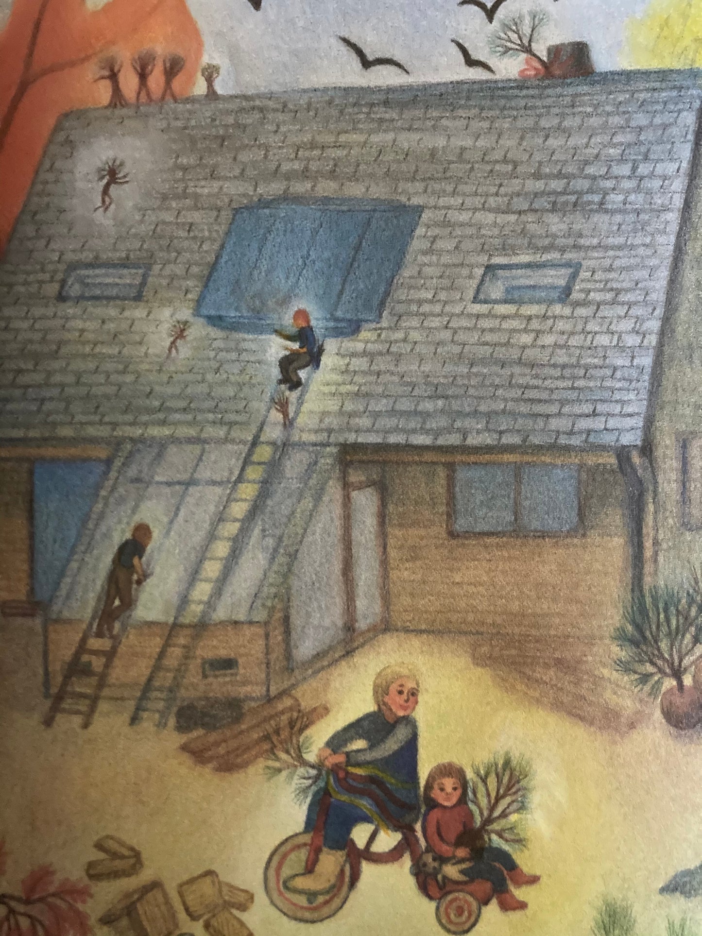 Livre d'images pour enfants - LES NOEUDS